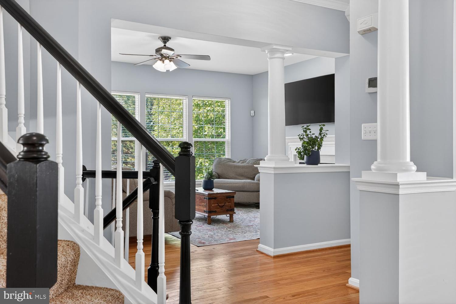 BRAEMAR - Residential