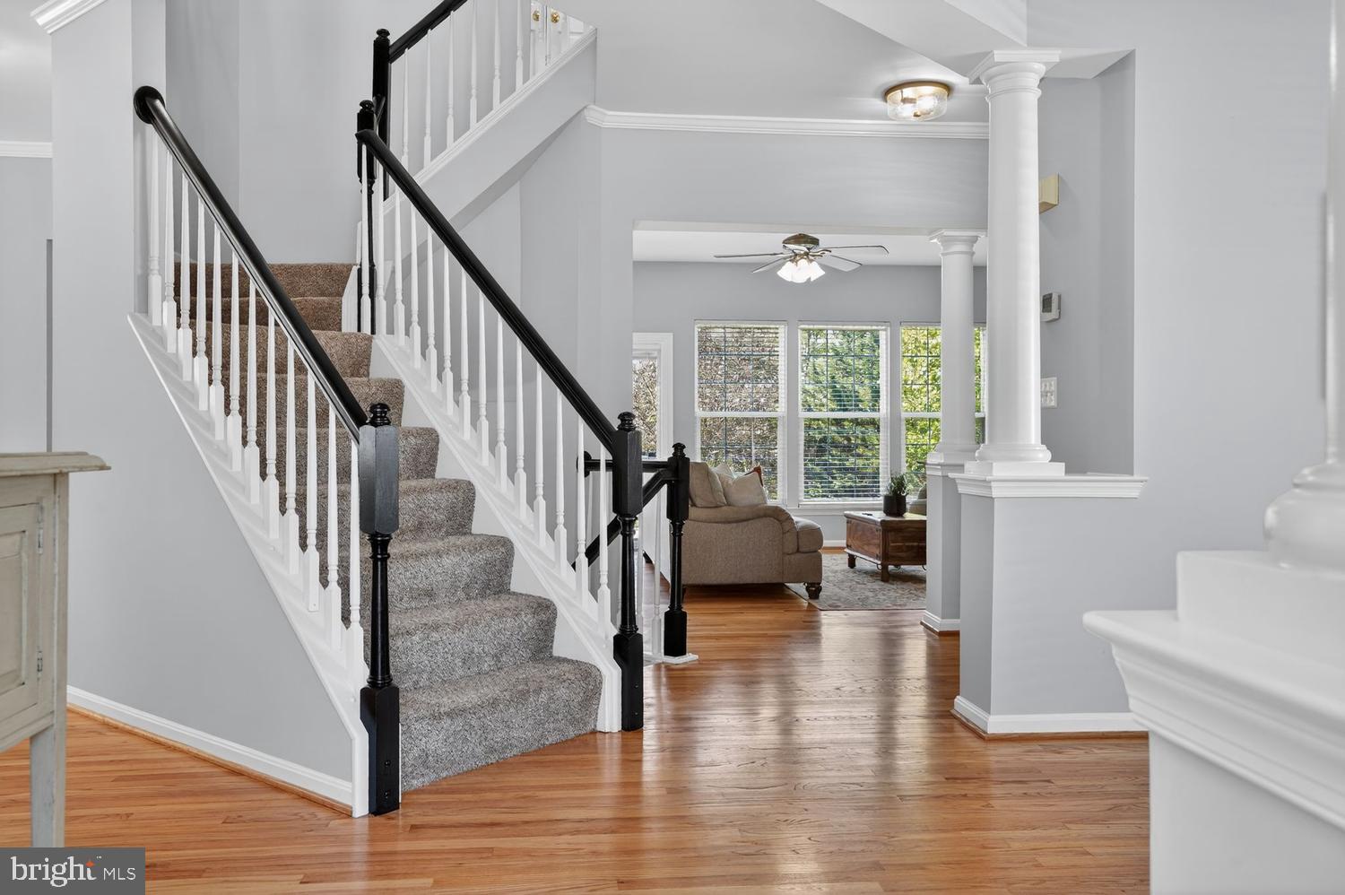 BRAEMAR - Residential