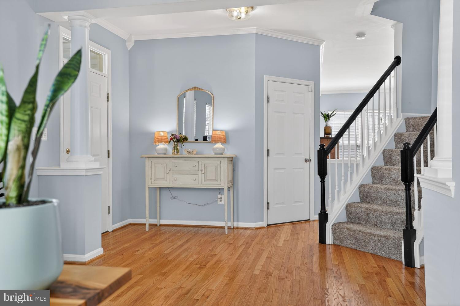 BRAEMAR - Residential