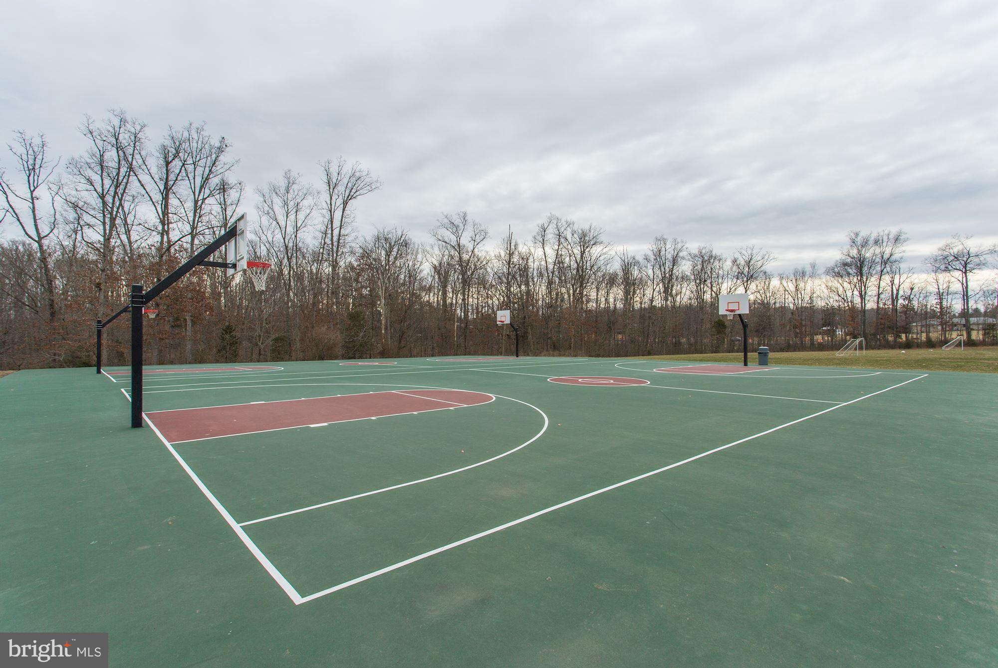 10032 NAUGHTON COURT