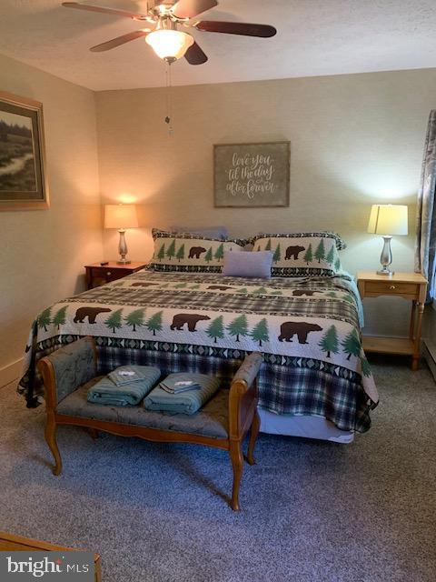 SNOW RIDGE VILLAGE - Residential