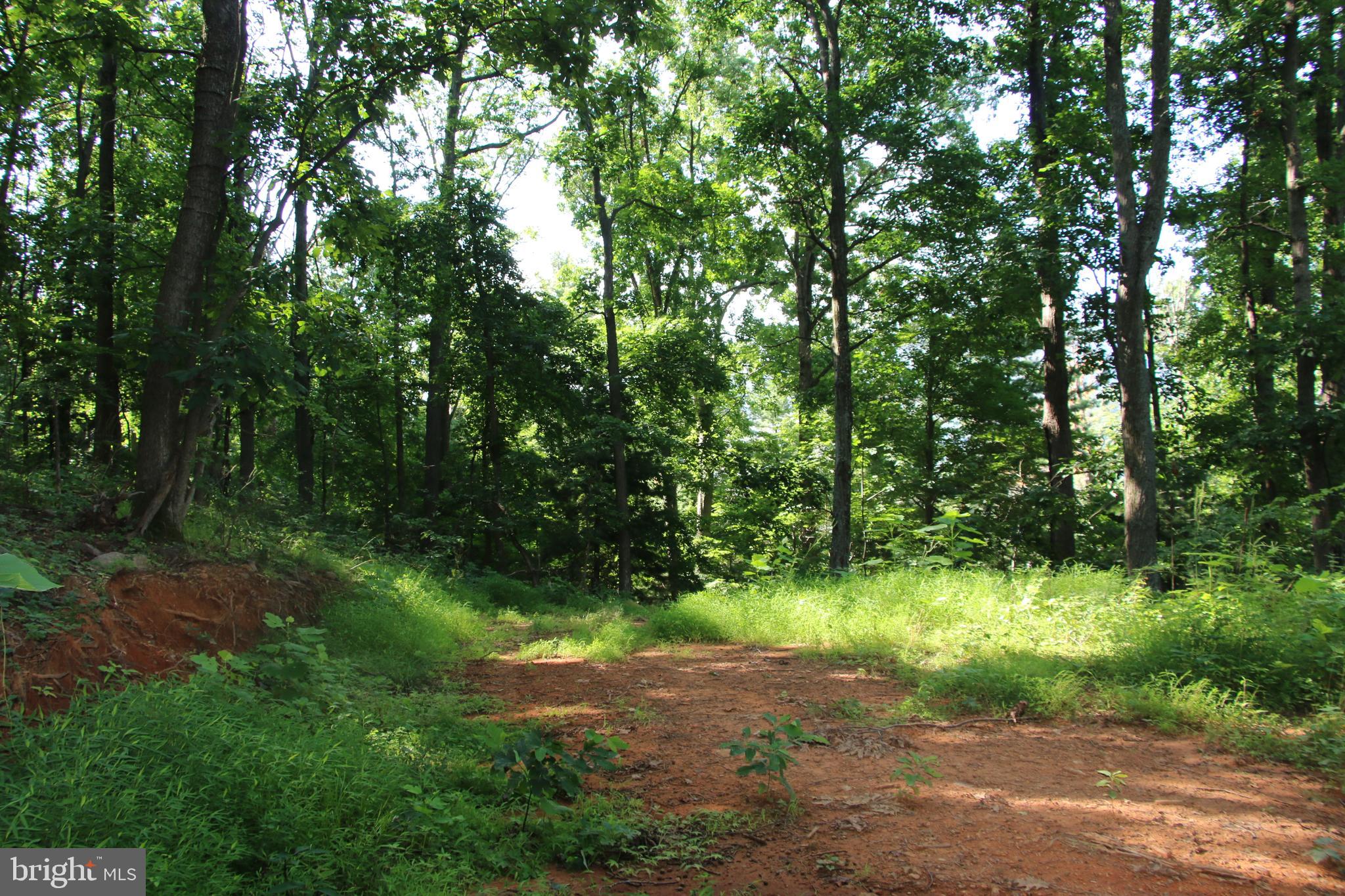 TURKEYPEN-HILL - Land