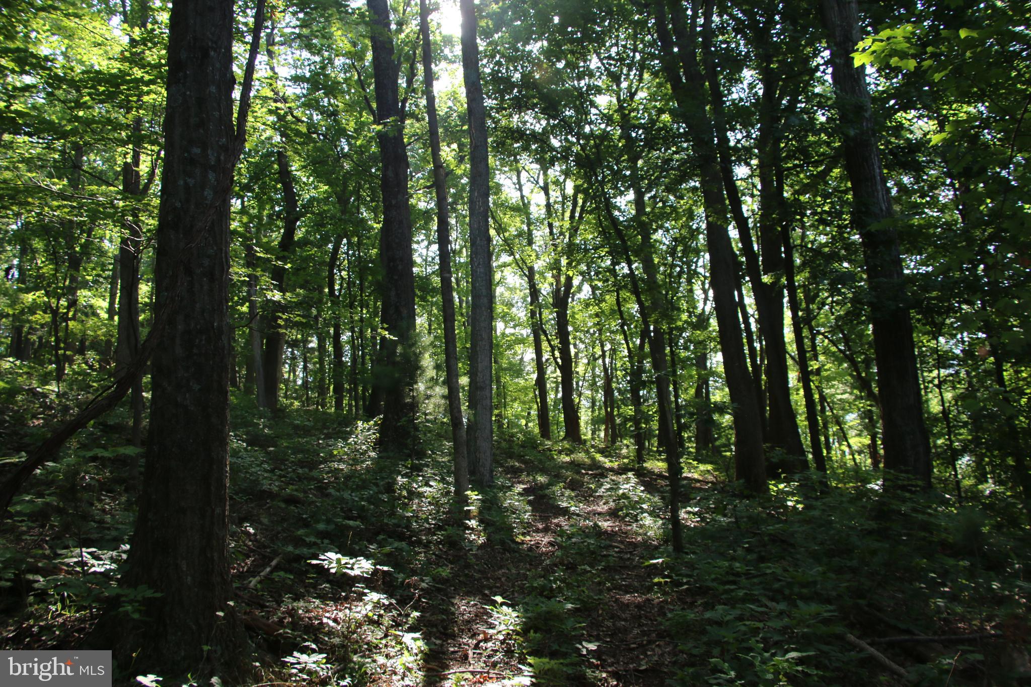 TURKEYPEN-HILL - Land