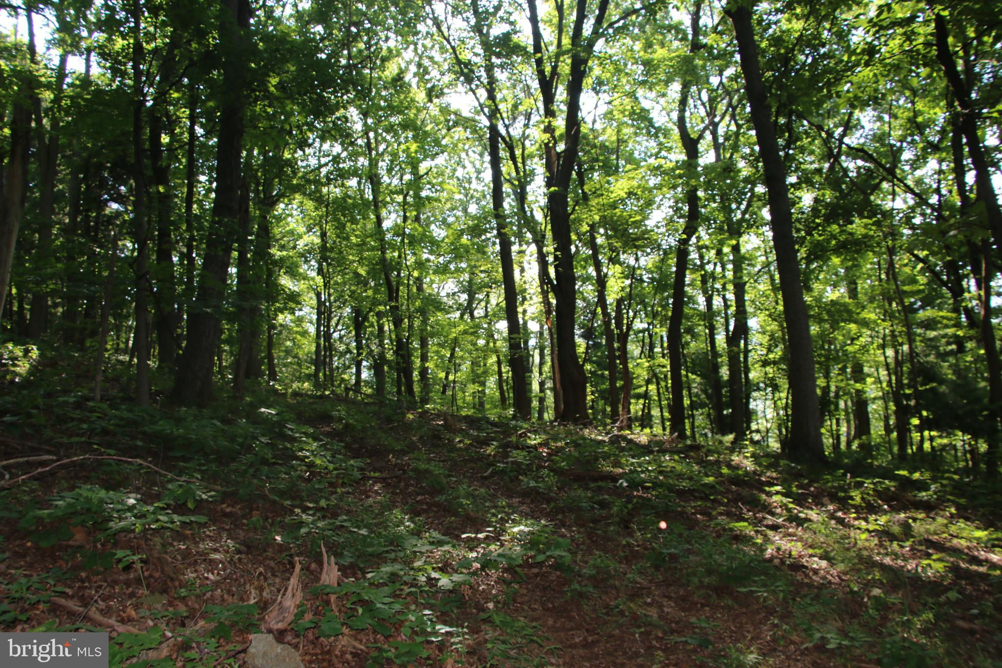 TURKEYPEN-HILL - Land