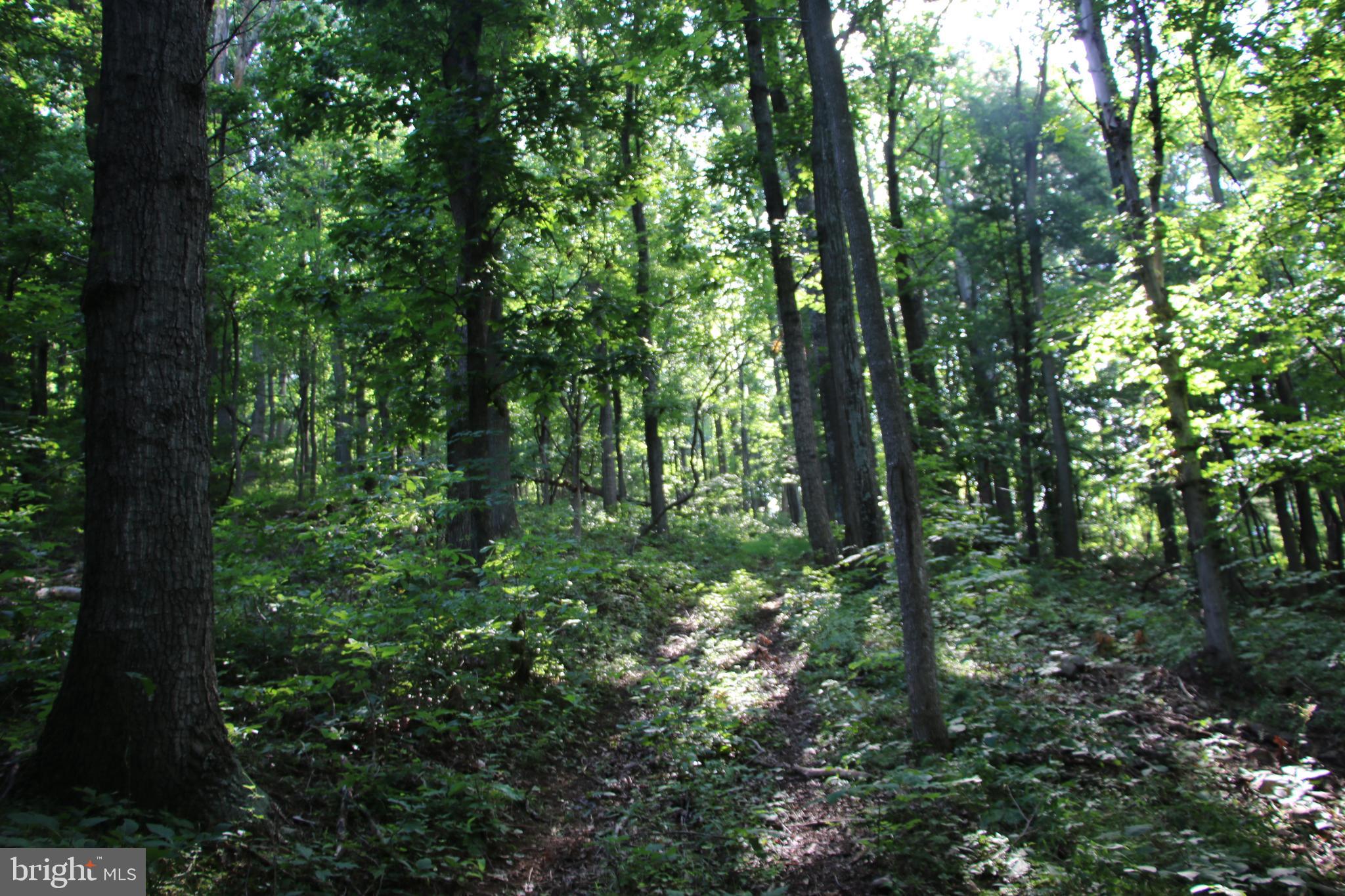 TURKEYPEN-HILL - Land