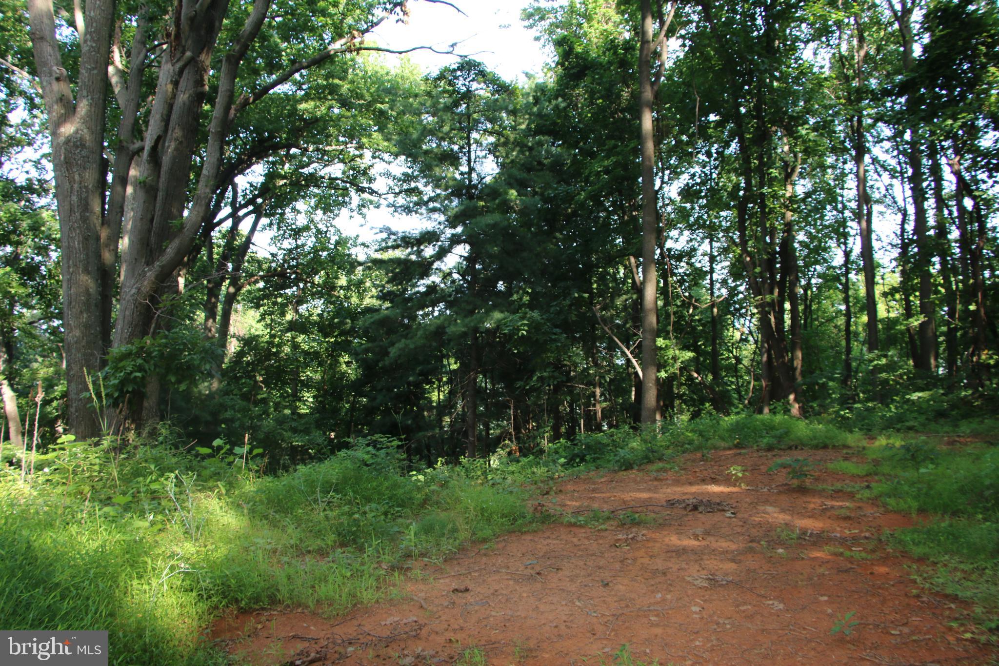 TURKEYPEN-HILL - Land