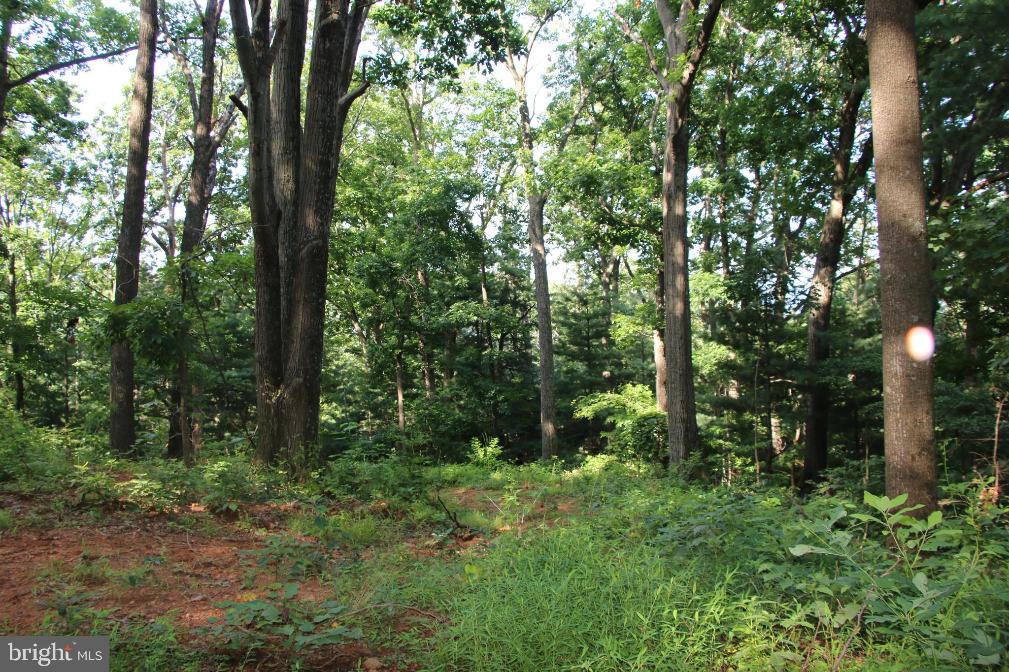 TURKEYPEN-HILL - Land