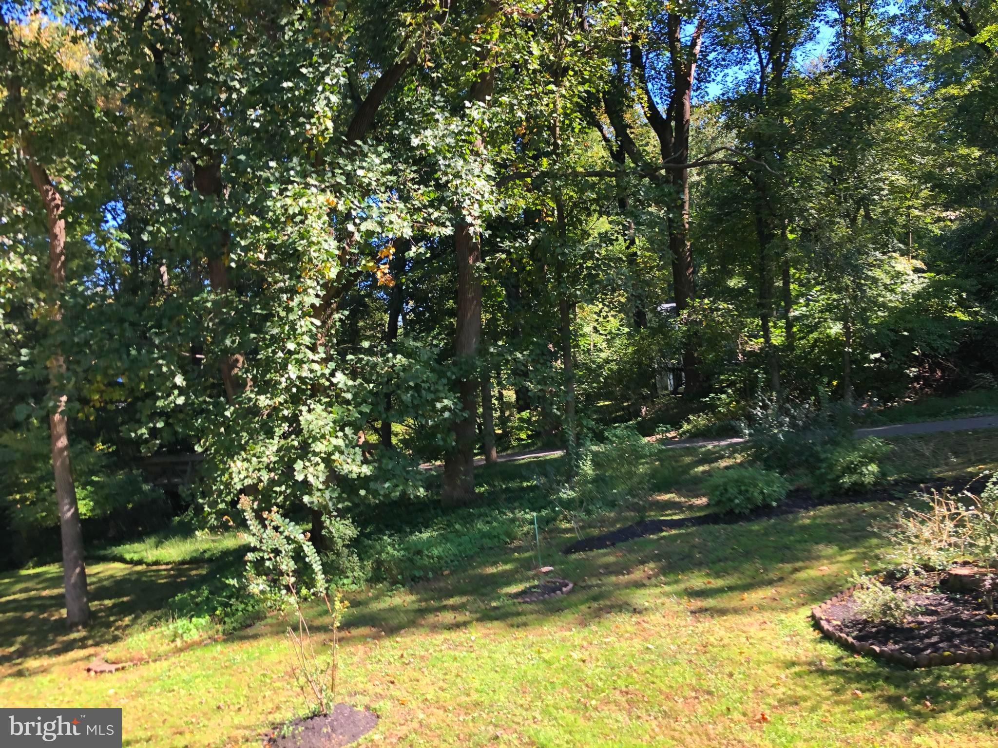 THUNDER HILL - Residential Lease