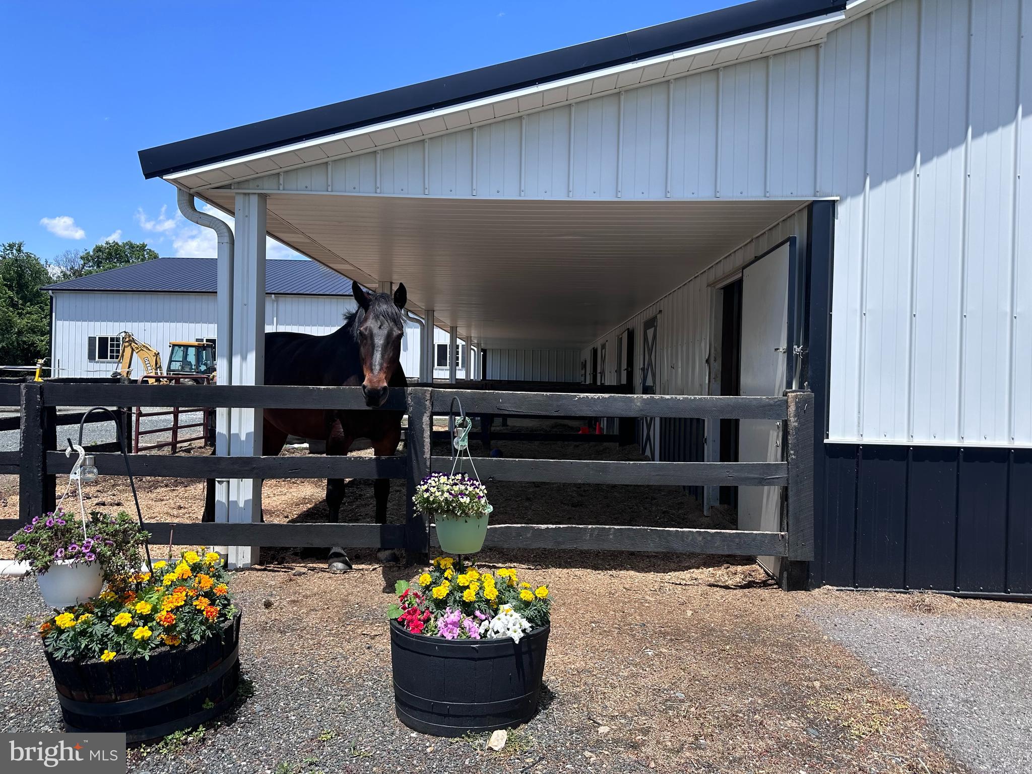 WEST FRIENDSHIP - Farm