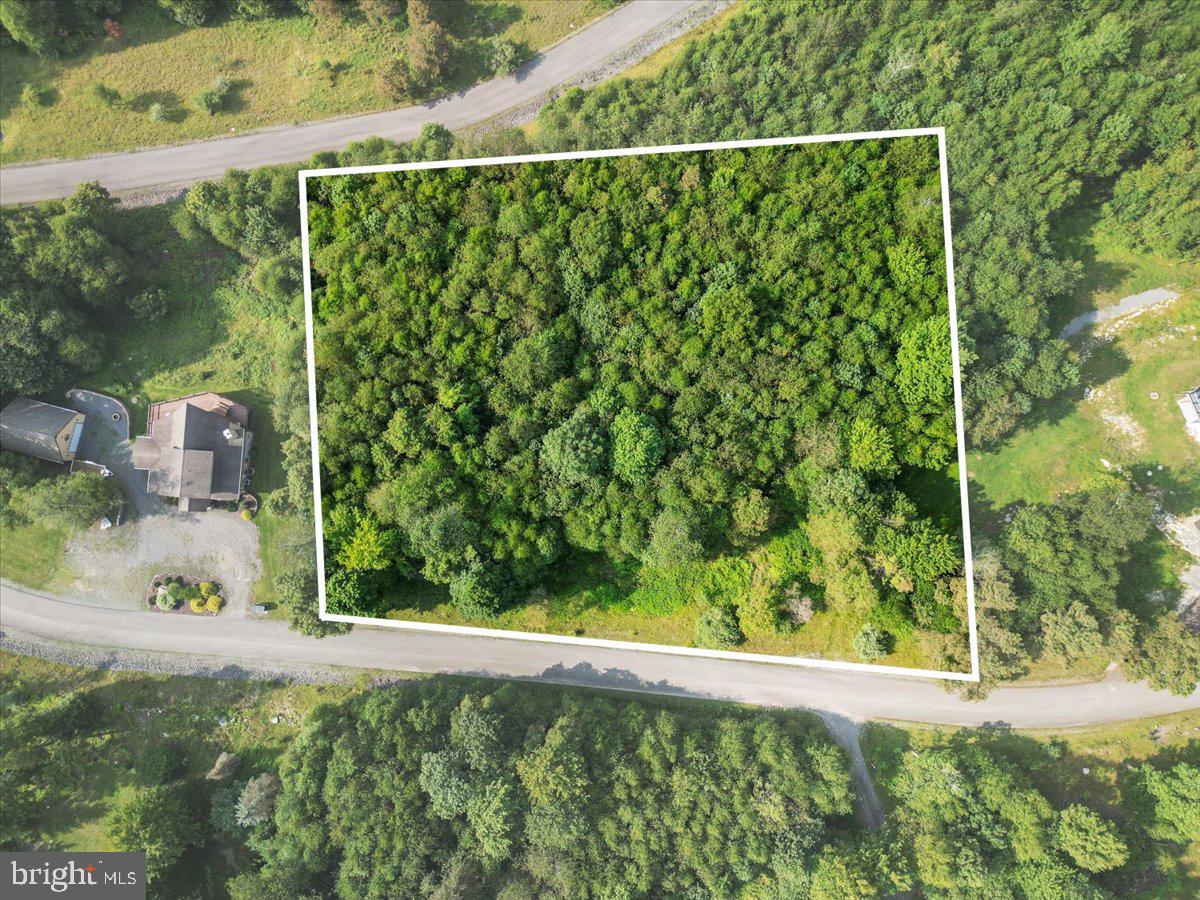 24 WOODLANDS HILL LANE