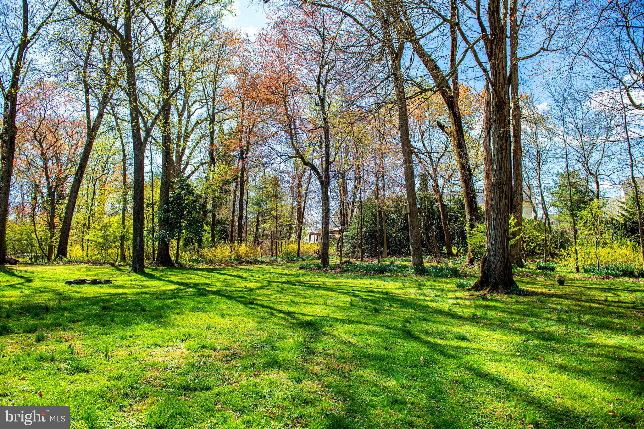 FORGE HEIGHTS - Residential