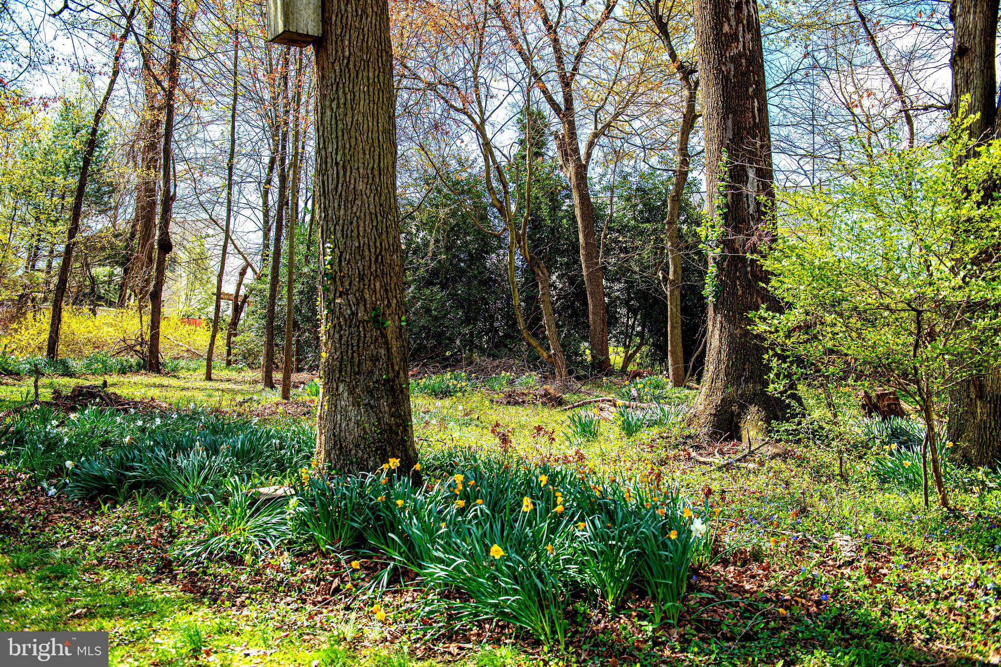 FORGE HEIGHTS - Residential