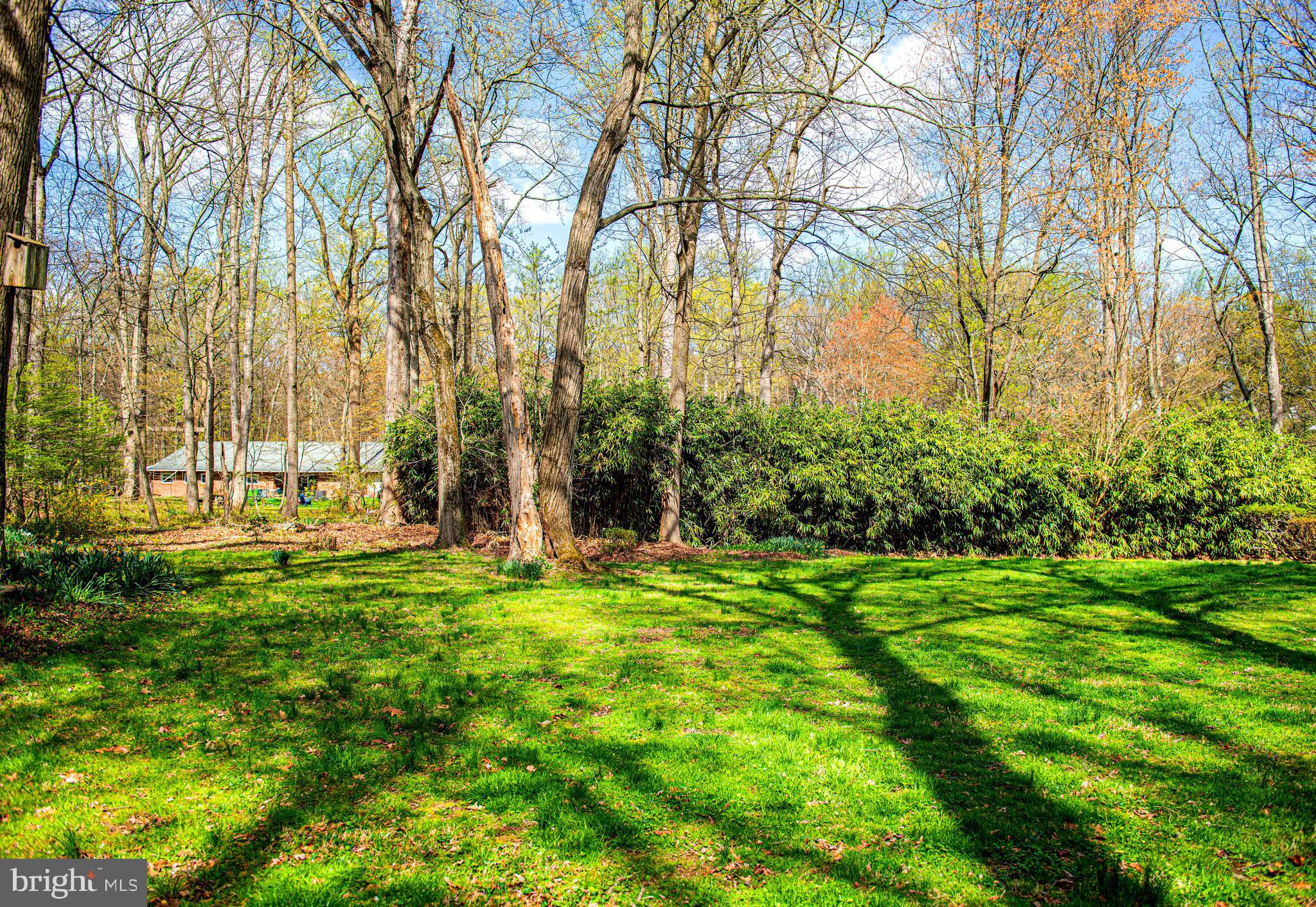 FORGE HEIGHTS - Residential