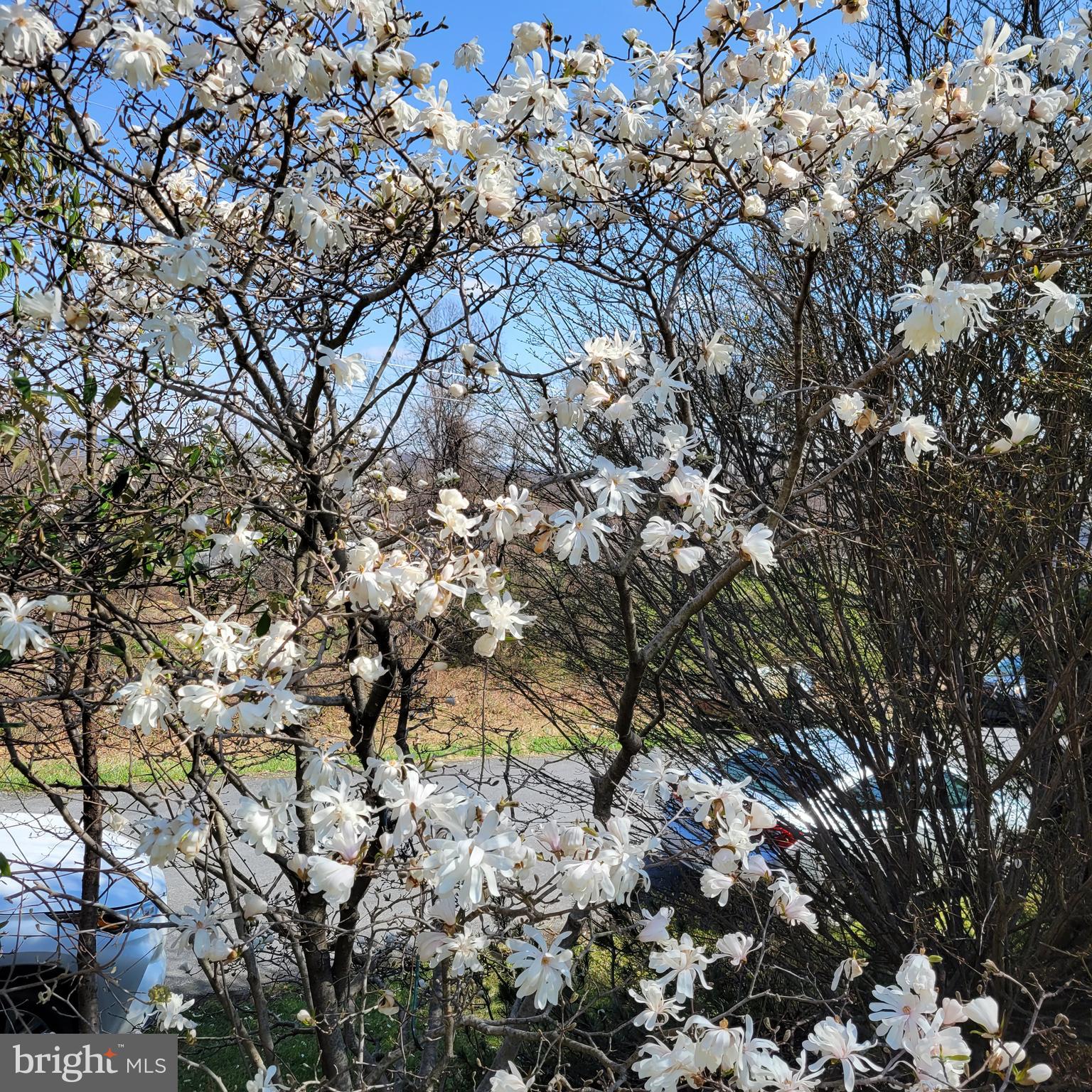 CARROLL VALLEY - Residential