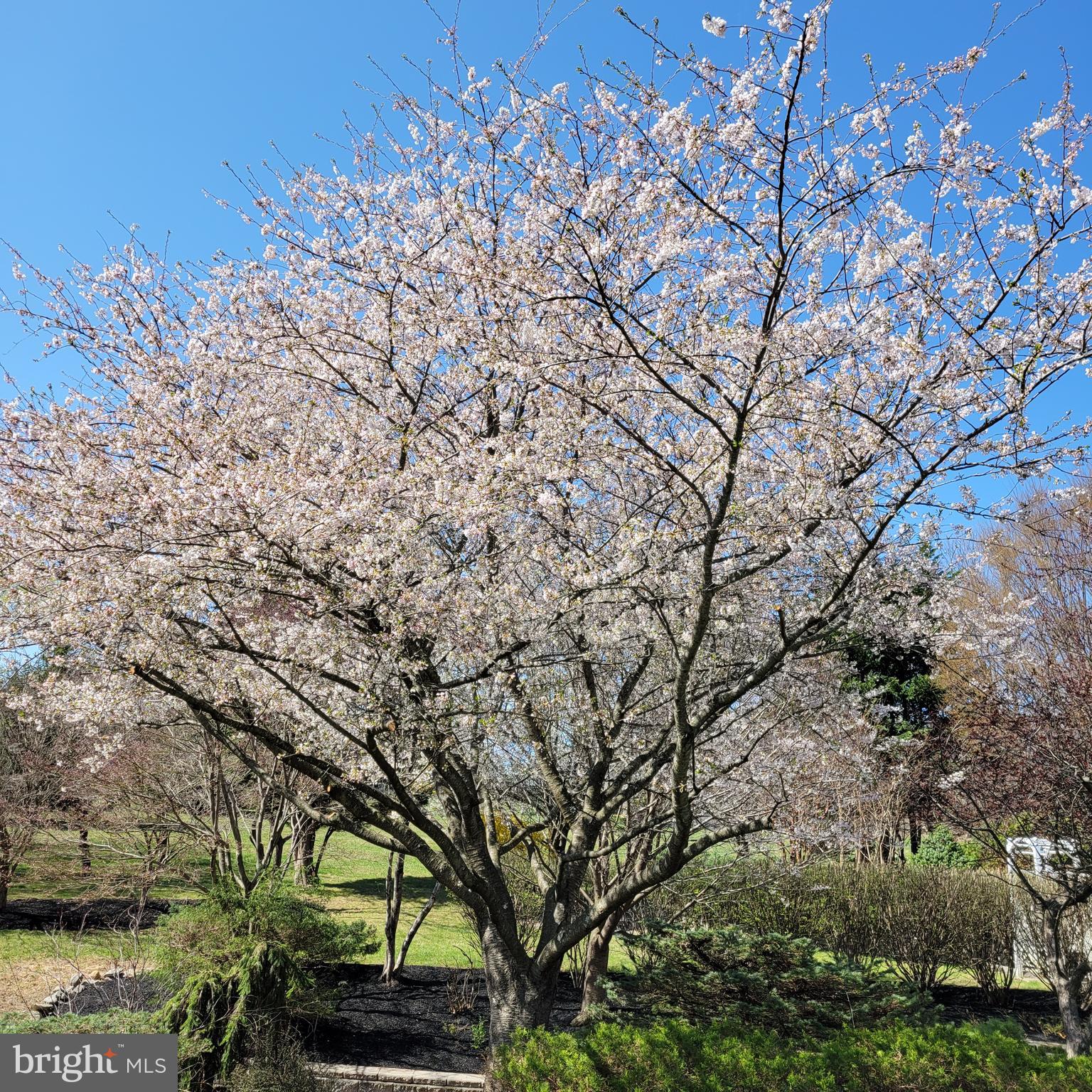 CARROLL VALLEY - Residential