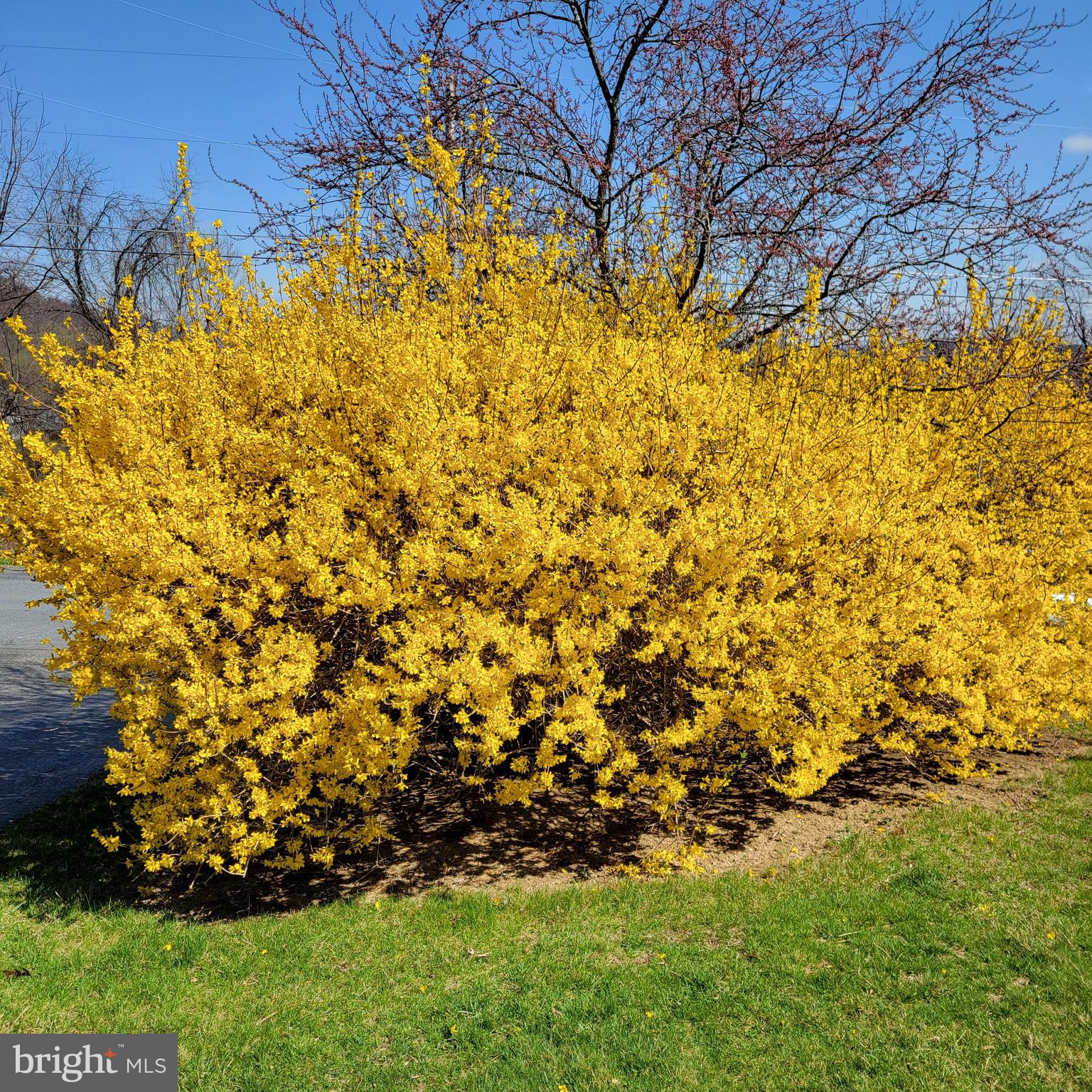 CARROLL VALLEY - Residential