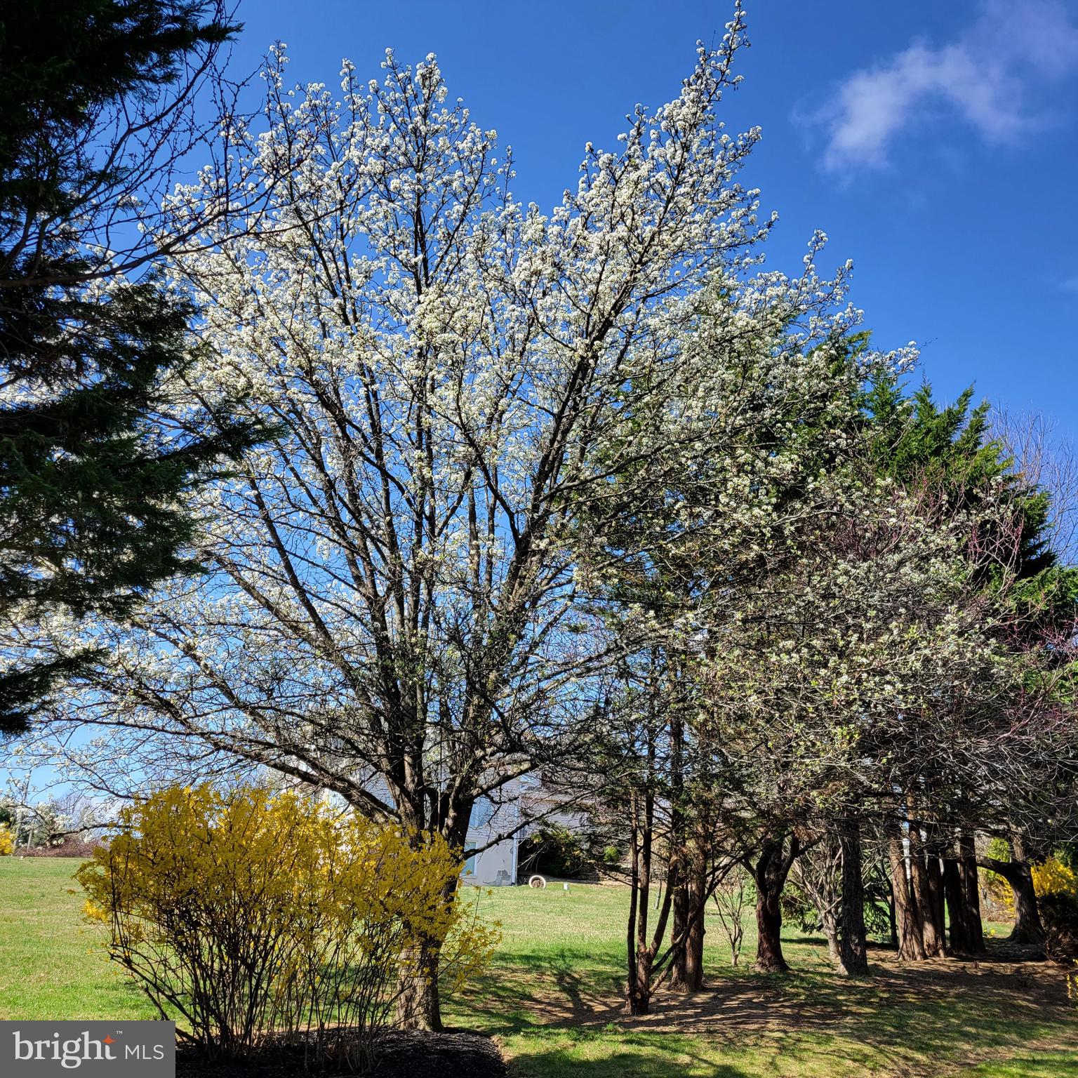 CARROLL VALLEY - Residential