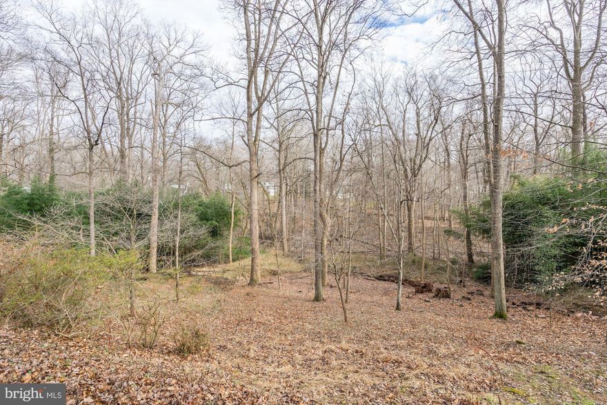 1.48 acres in the sought after Langley Forest. Gas available on street. Sewer available in the back of the property. House on property sold as-is.