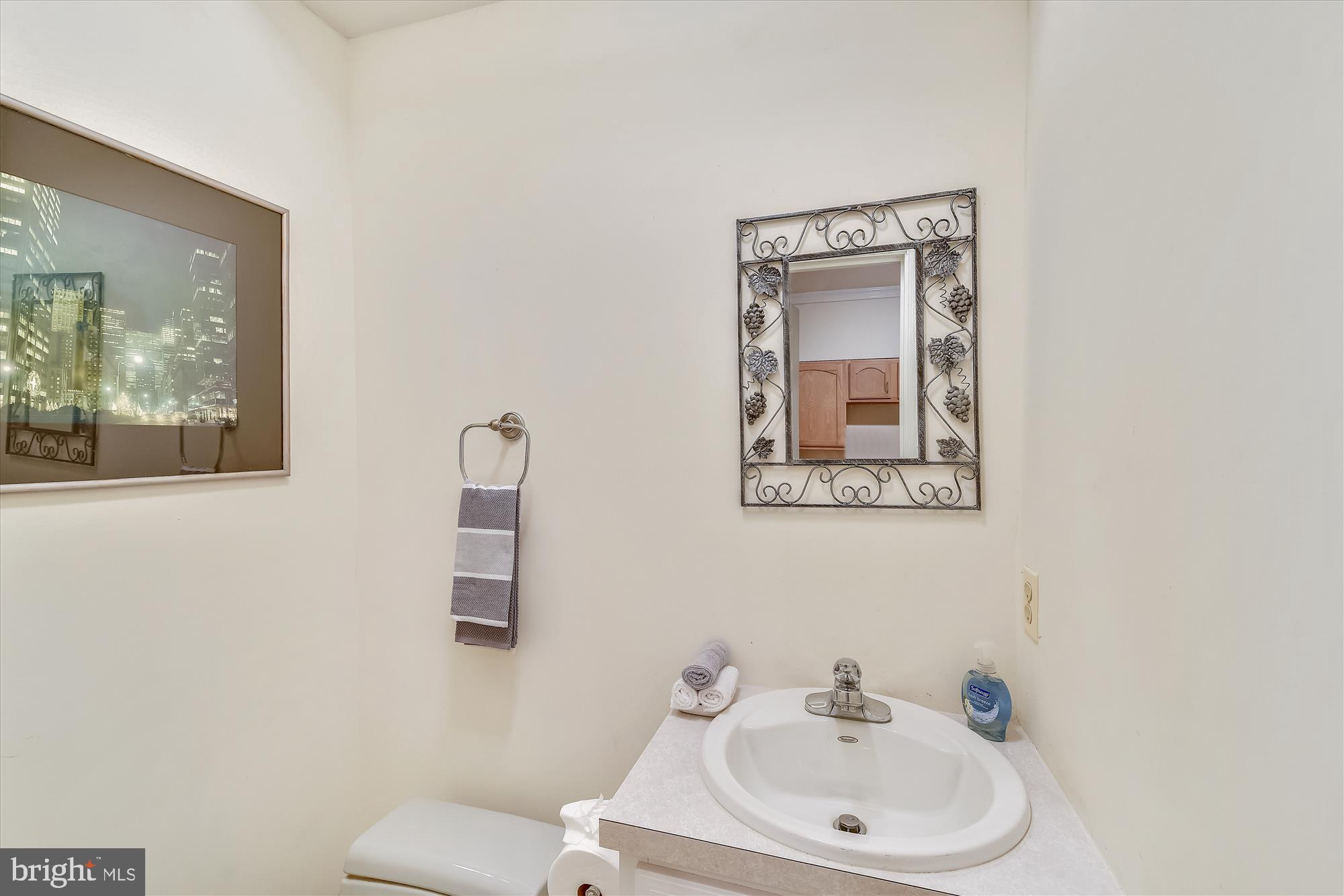 HUNTER MILL ESTATES - Residential