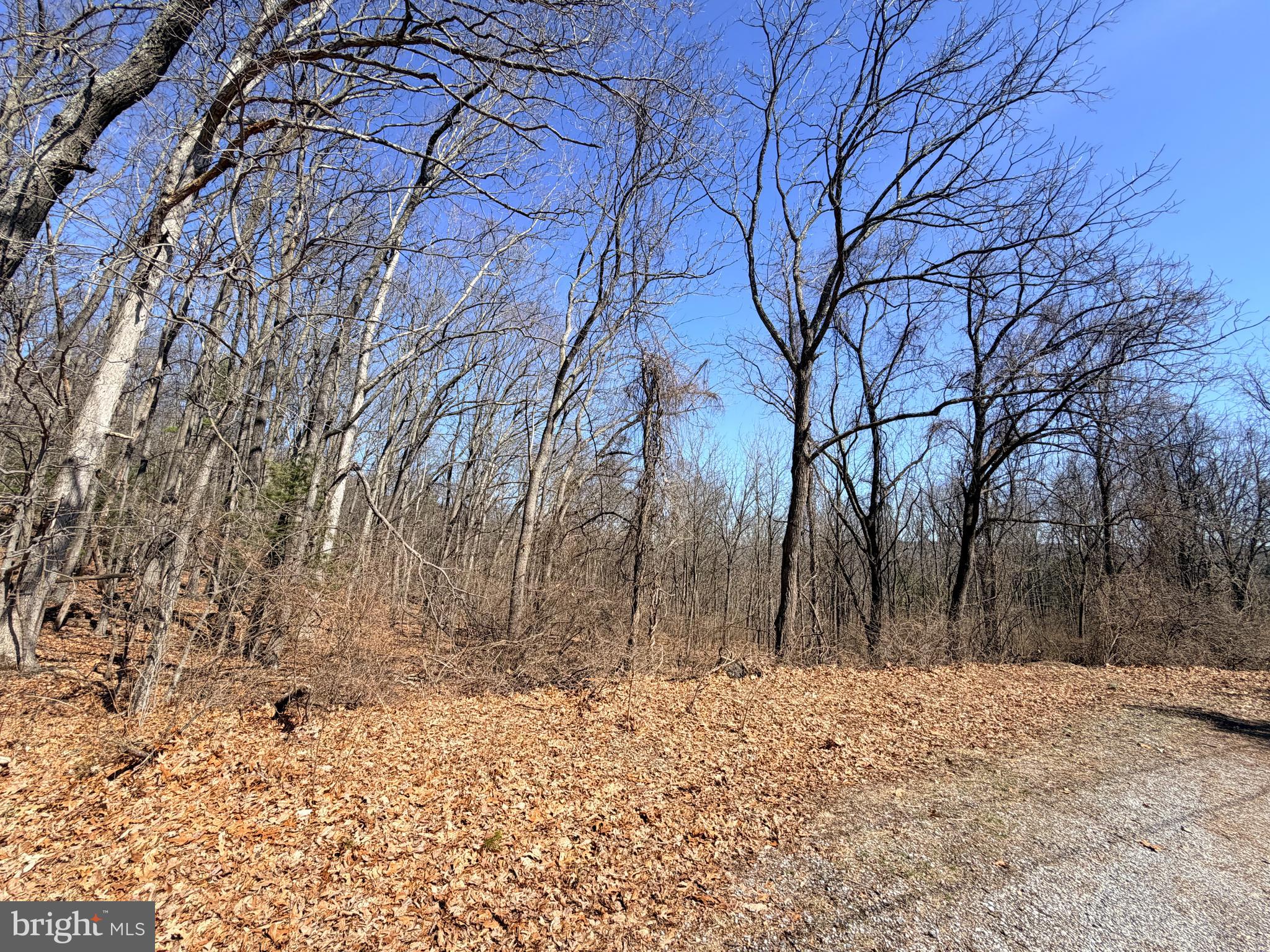 QUARRY HILL ROAD 8.3 AC