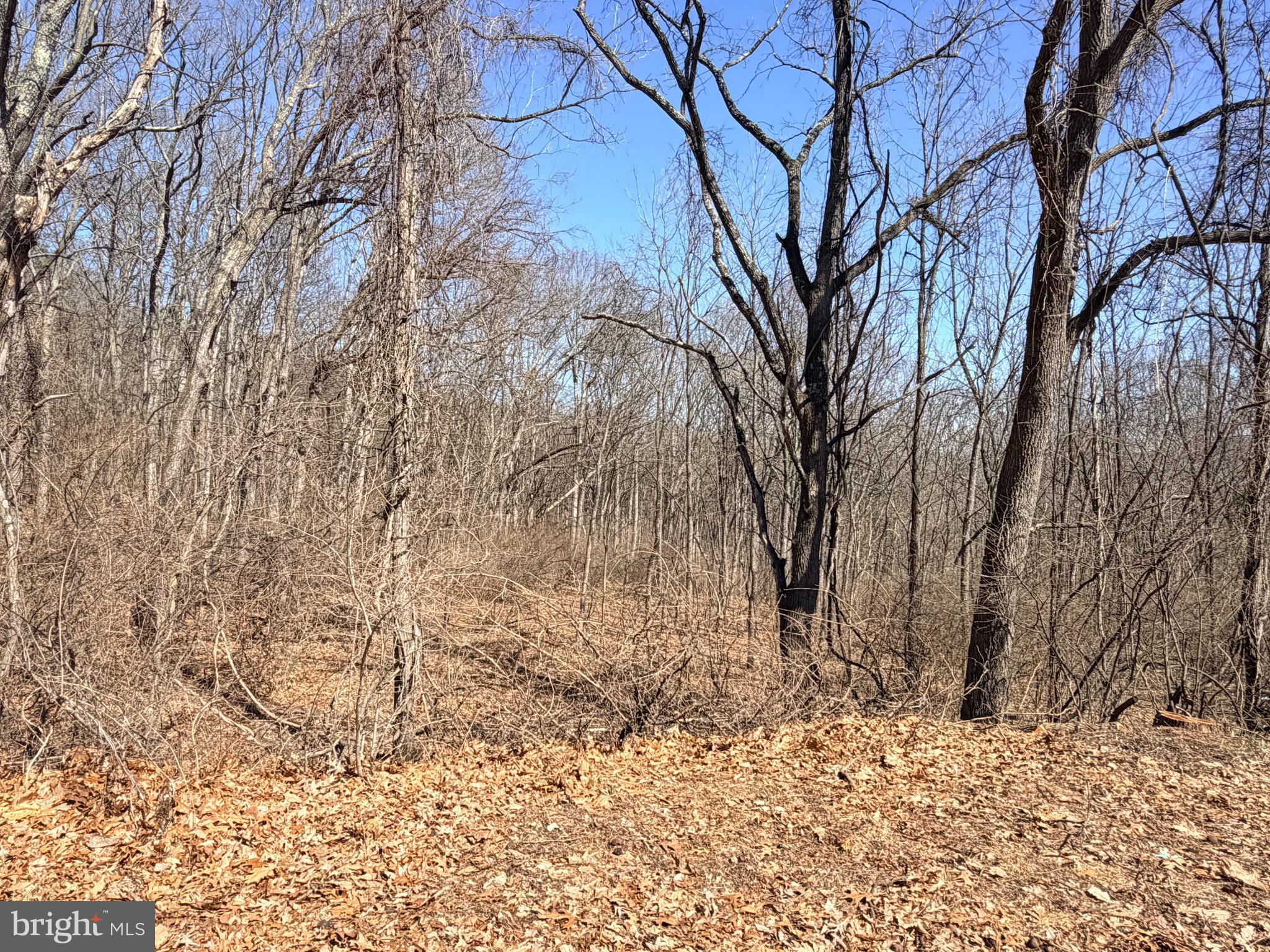 QUARRY HILL ROAD 8.3 AC