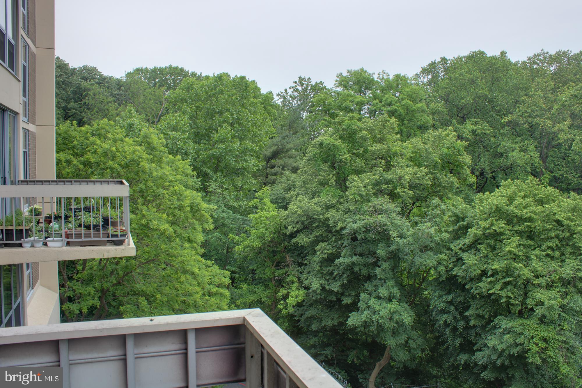 WYNNEFIELD - Residential Lease