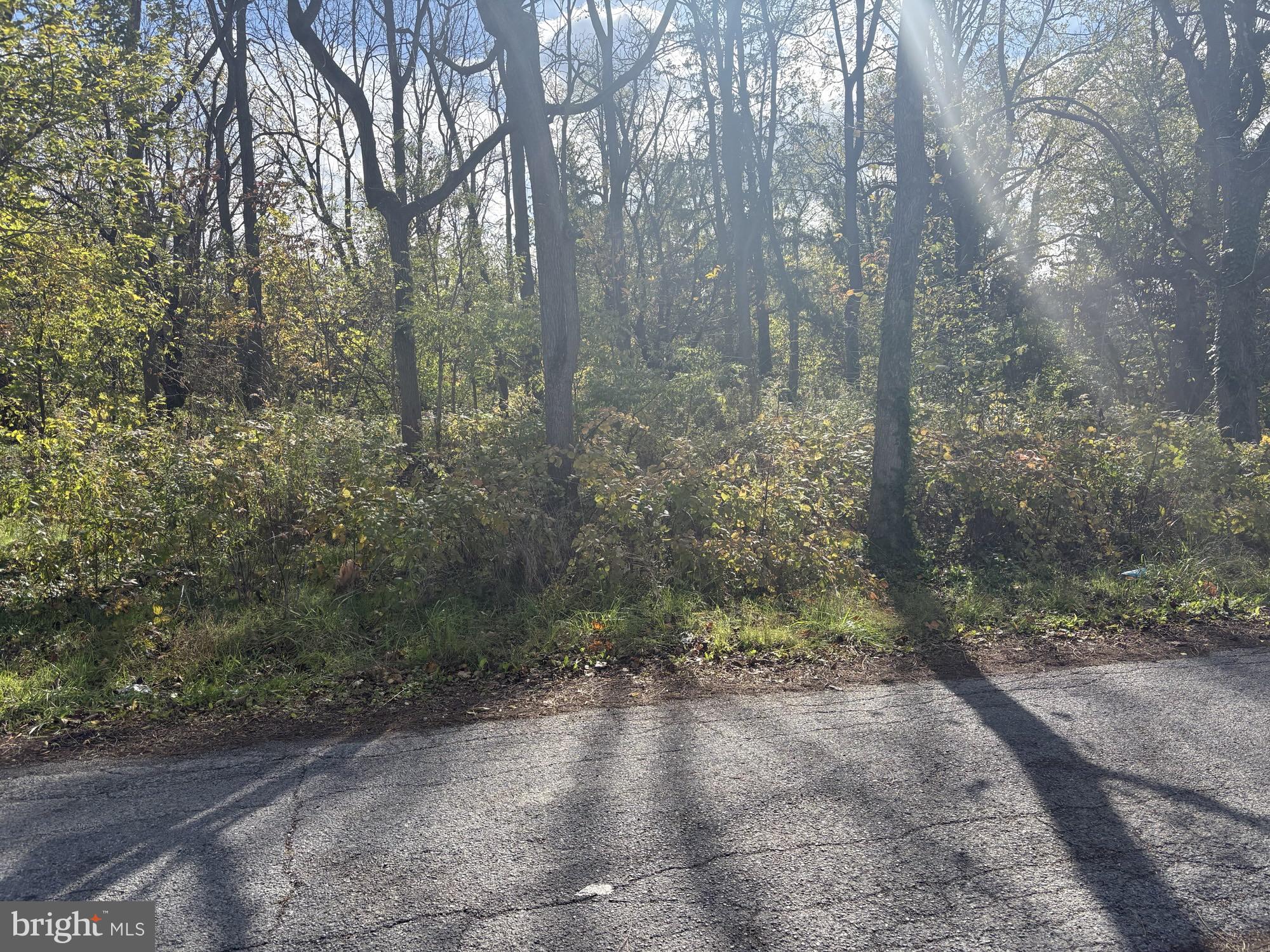 213 and 210 PRINCE AND HIGH