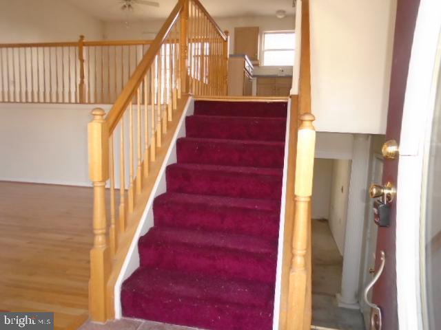 ALMA SMITH - Residential