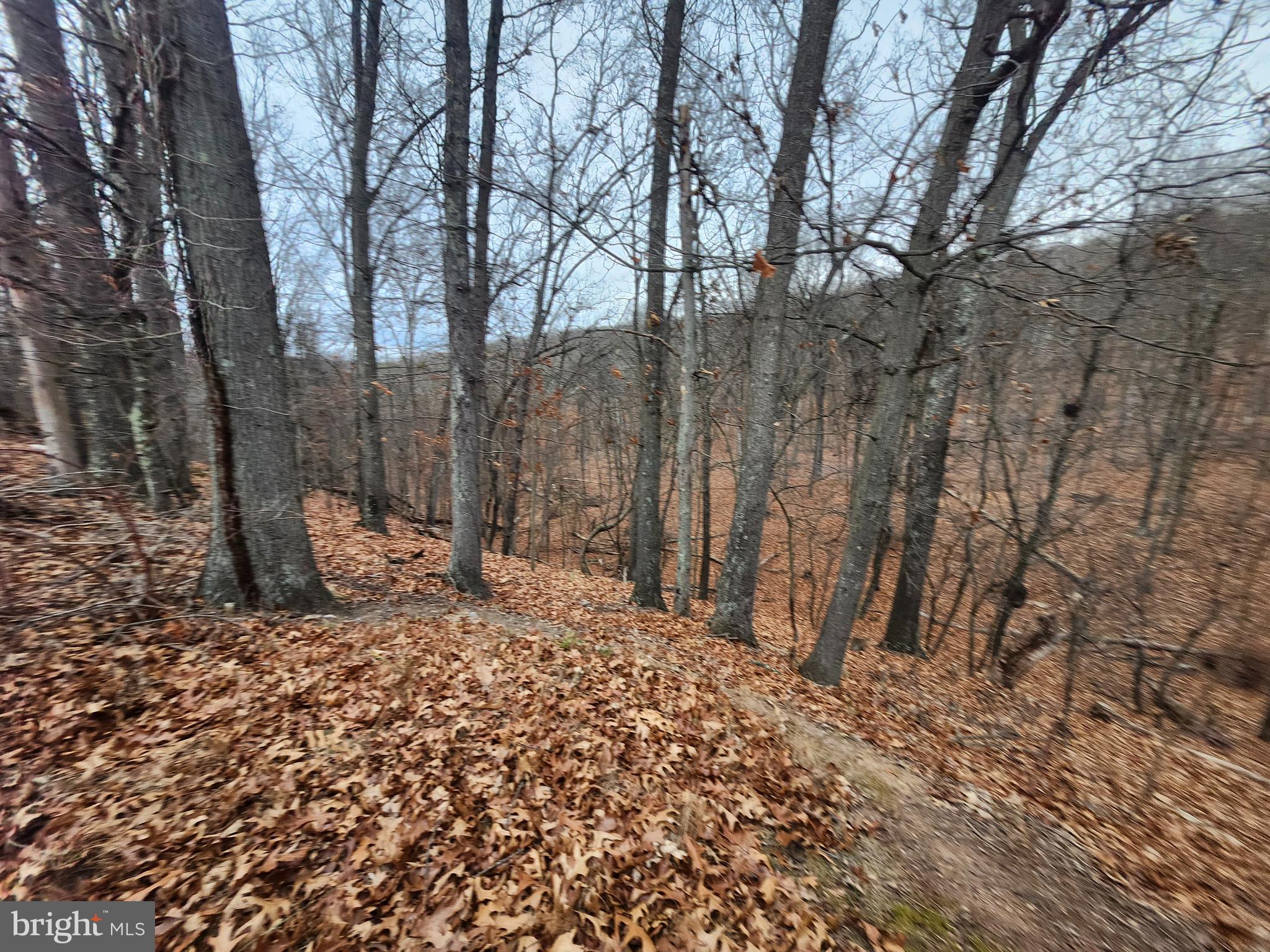 TOWN HILL RANCHES - Land