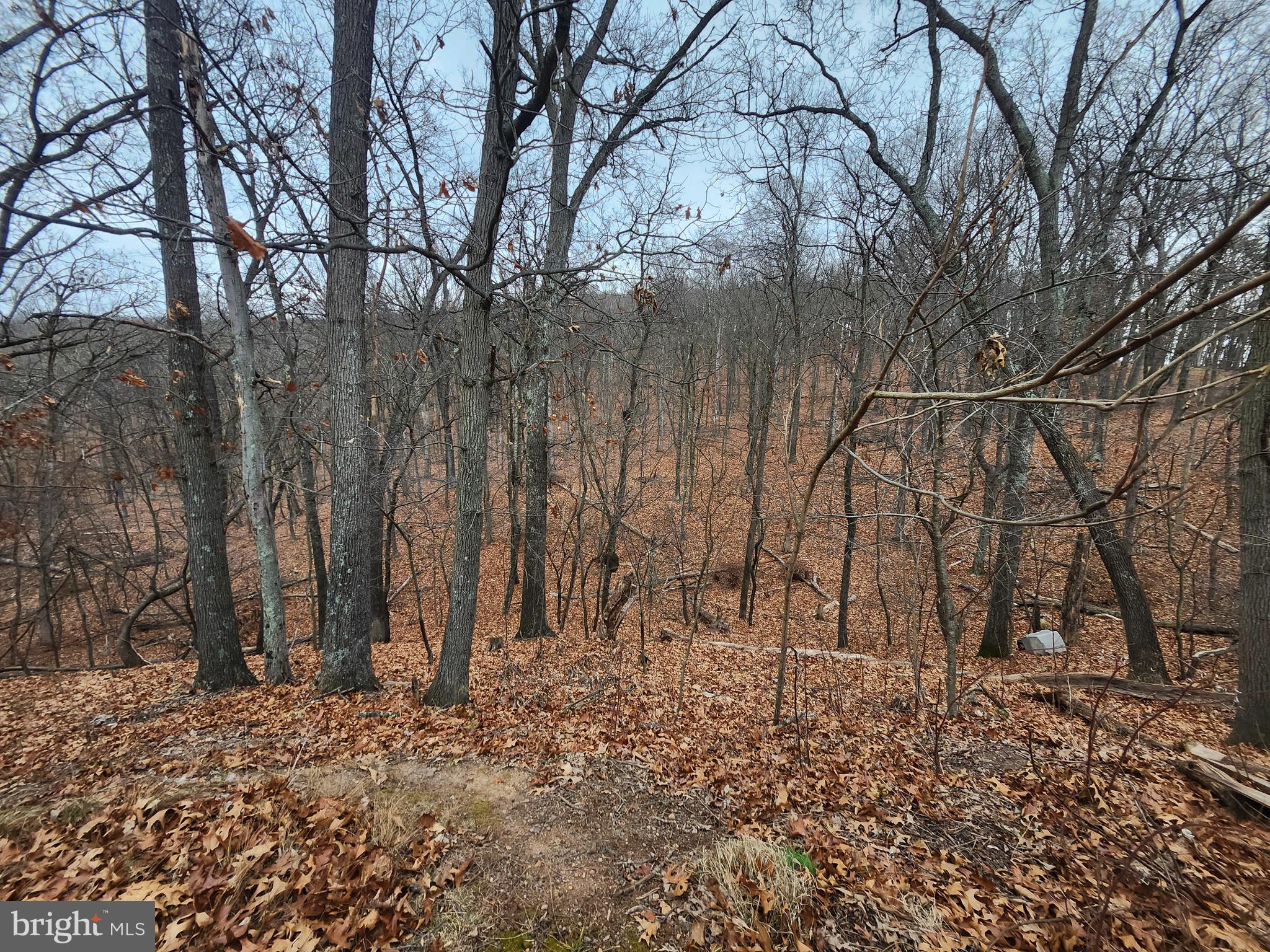 TOWN HILL RANCHES - Land