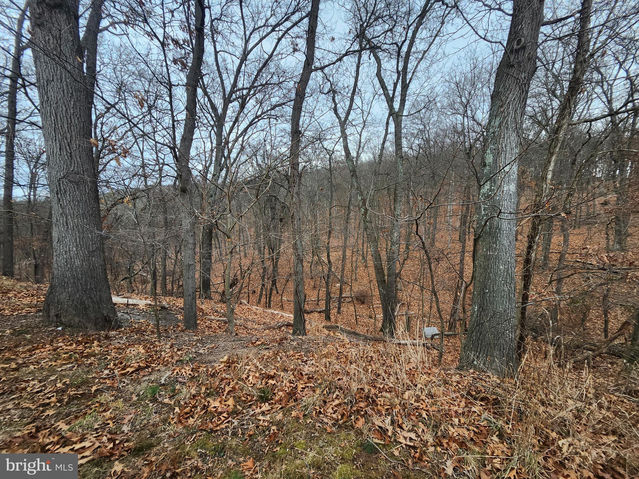 TOWN HILL RANCHES - Land