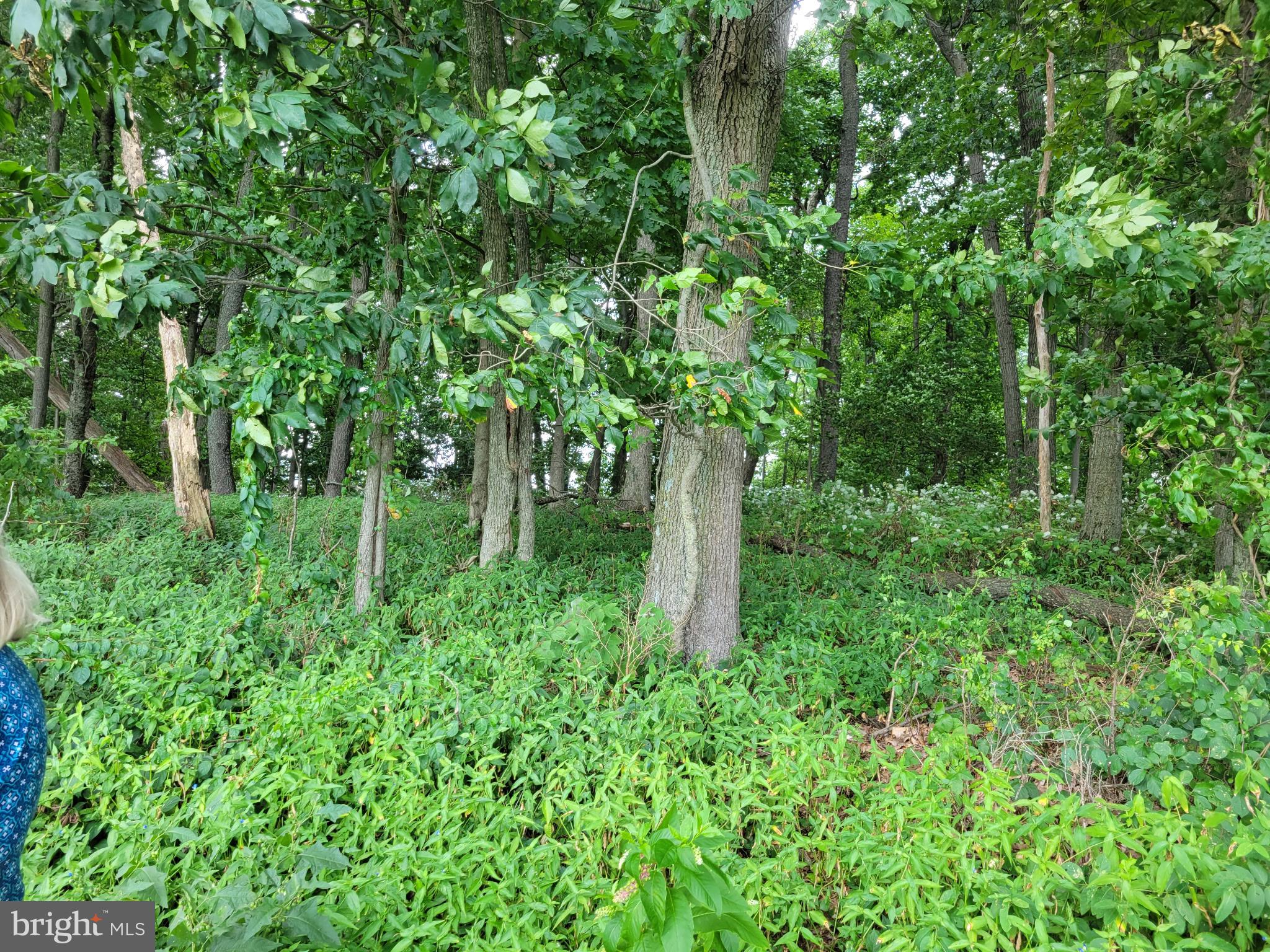 0 SCHOCK ROAD