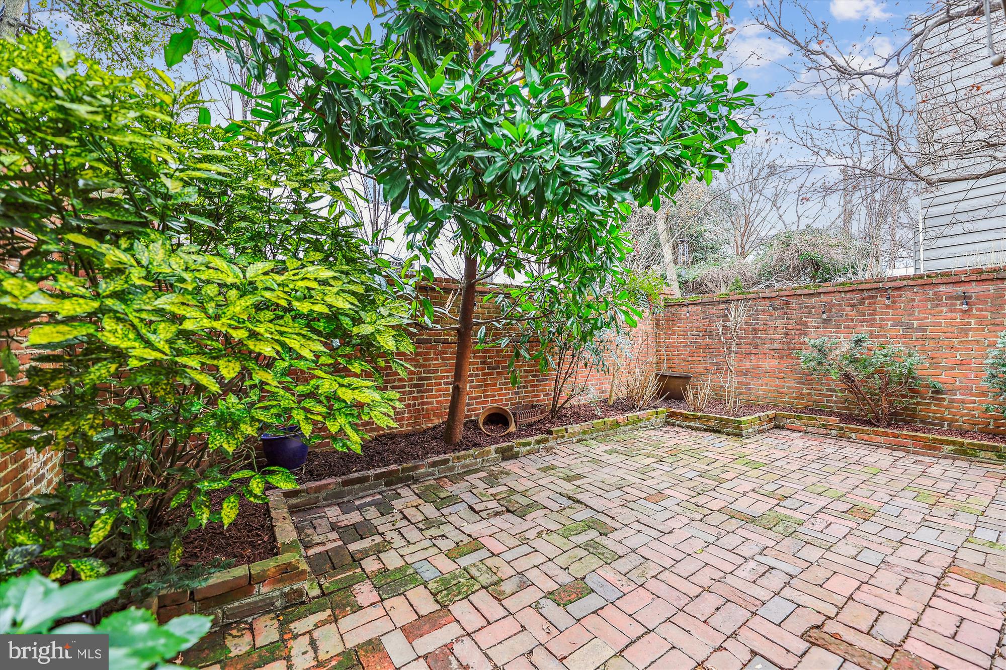 OLD TOWN ALEXANDRIA - Residential