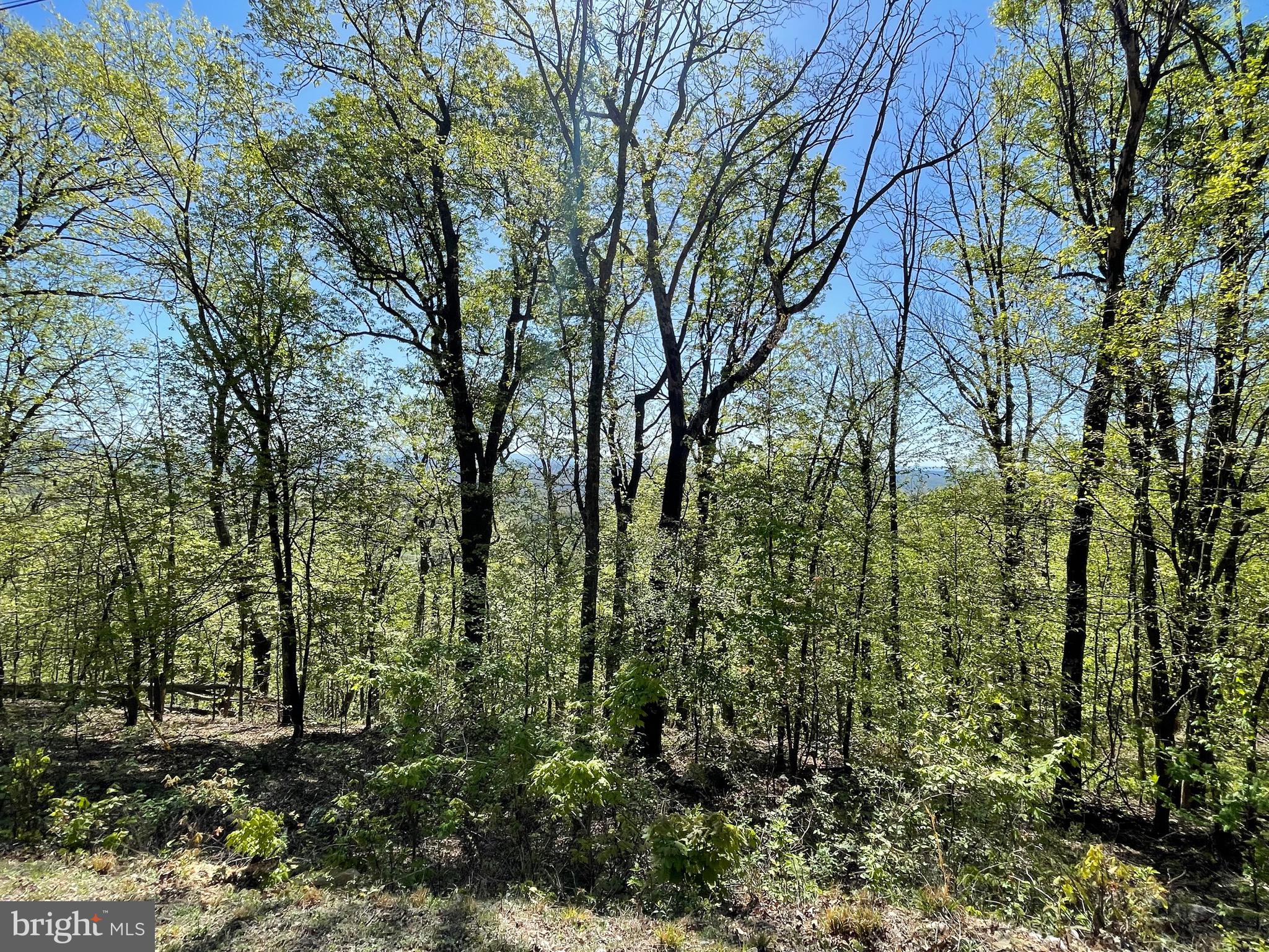 Looking for an amazing view, this may just be the property! Don't miss out on this 5+ acres of land to build your mountain getaway or full-time residence. Lot 5 on the plat sits high on the hill and is sloped but does have level areas too. Cut down a few trees and the view will go for miles. The wildlife is abundant! The beginnings of driveway close to the neighbor's driveway has been started. This lot is minutes from Route 9, I-70, and I-81. This property is approximately 30 minutes to Berkeley Springs and Cacapon State Park, and less then 2 hours from DC & Baltimore. Please be accompanied by an agent to visit the property. Electric lines run along the road. Approx. 1.4 miles of dirt road up to the property. Truck, SUV, or 4-wheel drive recommended.