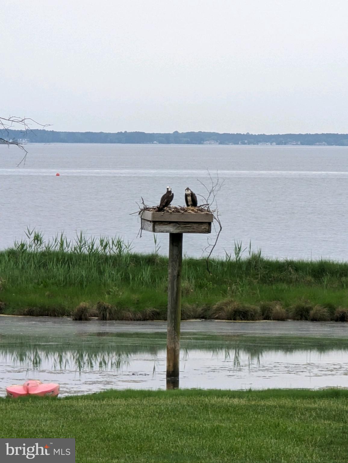 BENNETT POINT - Residential