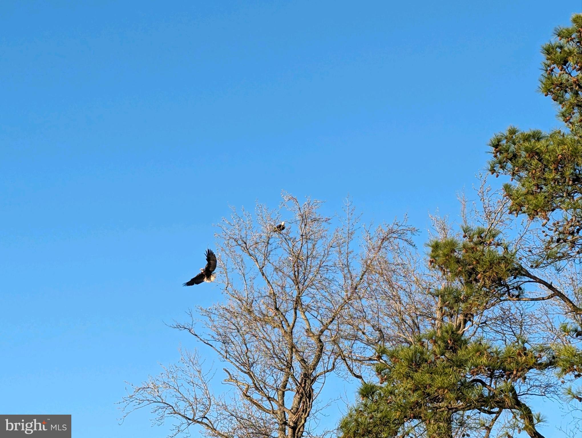 BENNETT POINT - Residential