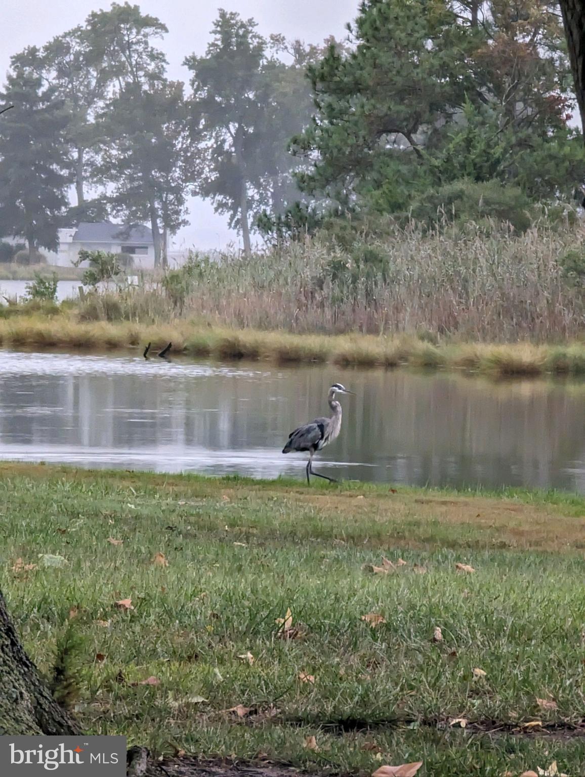 BENNETT POINT - Residential