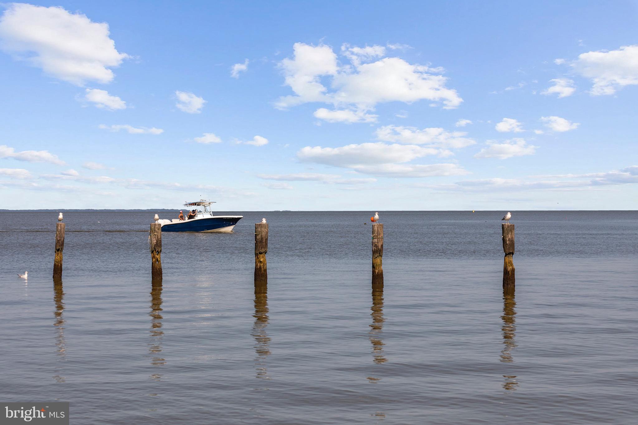 BLUFF POINT - Residential