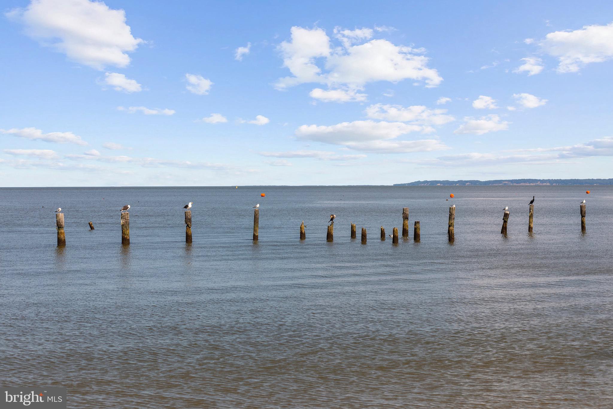 BLUFF POINT - Residential