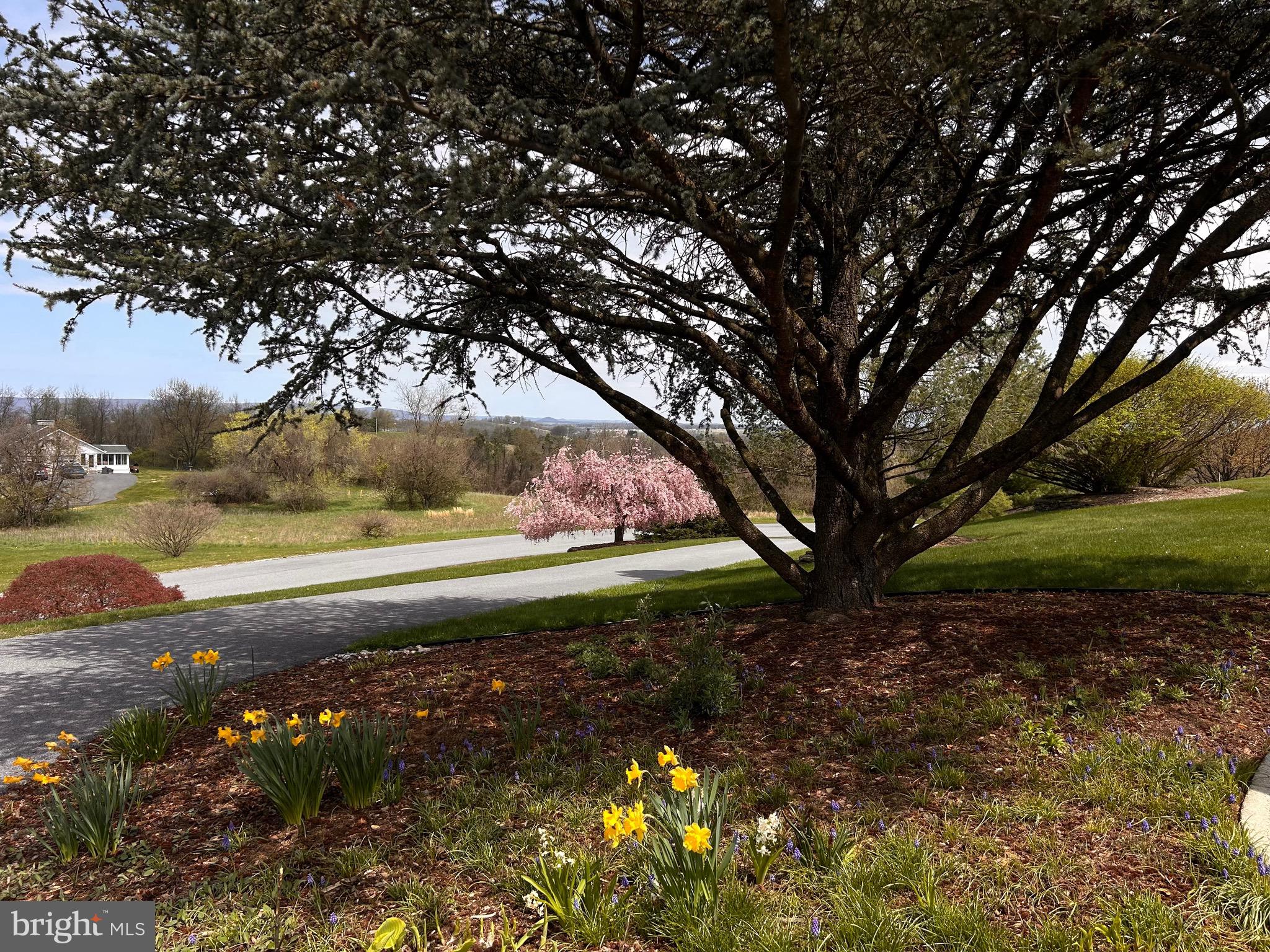 NORTH HILL ESTATES - Residential