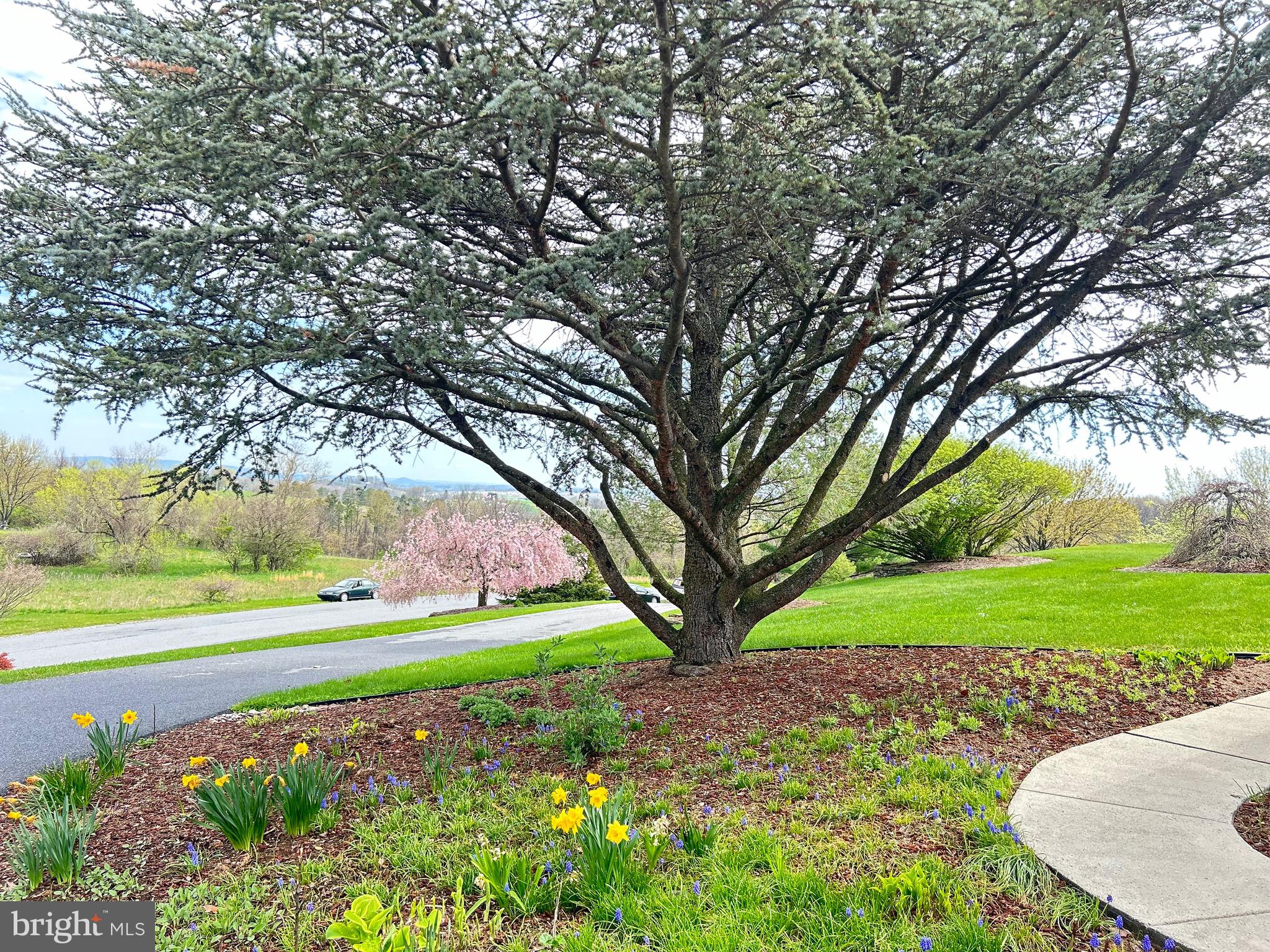 NORTH HILL ESTATES - Residential