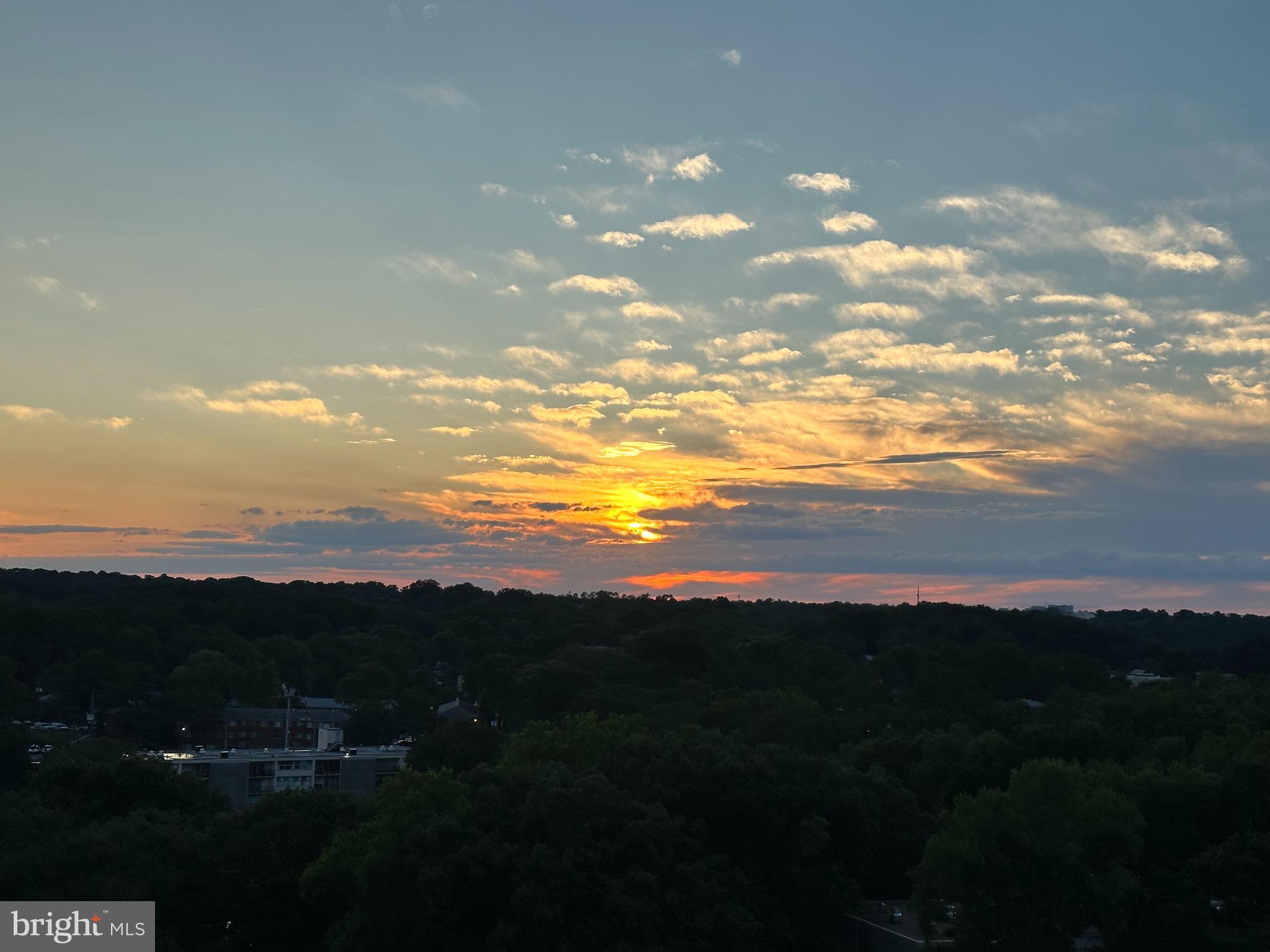 PRESIDENTIAL TOWERS - Residential