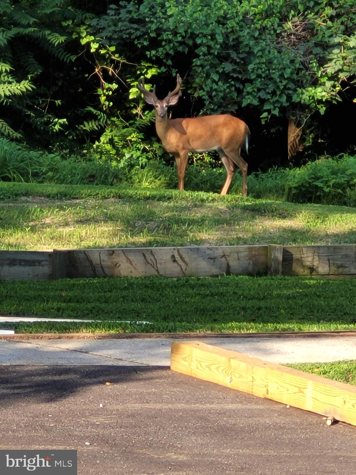 TEN HILLS - Residential