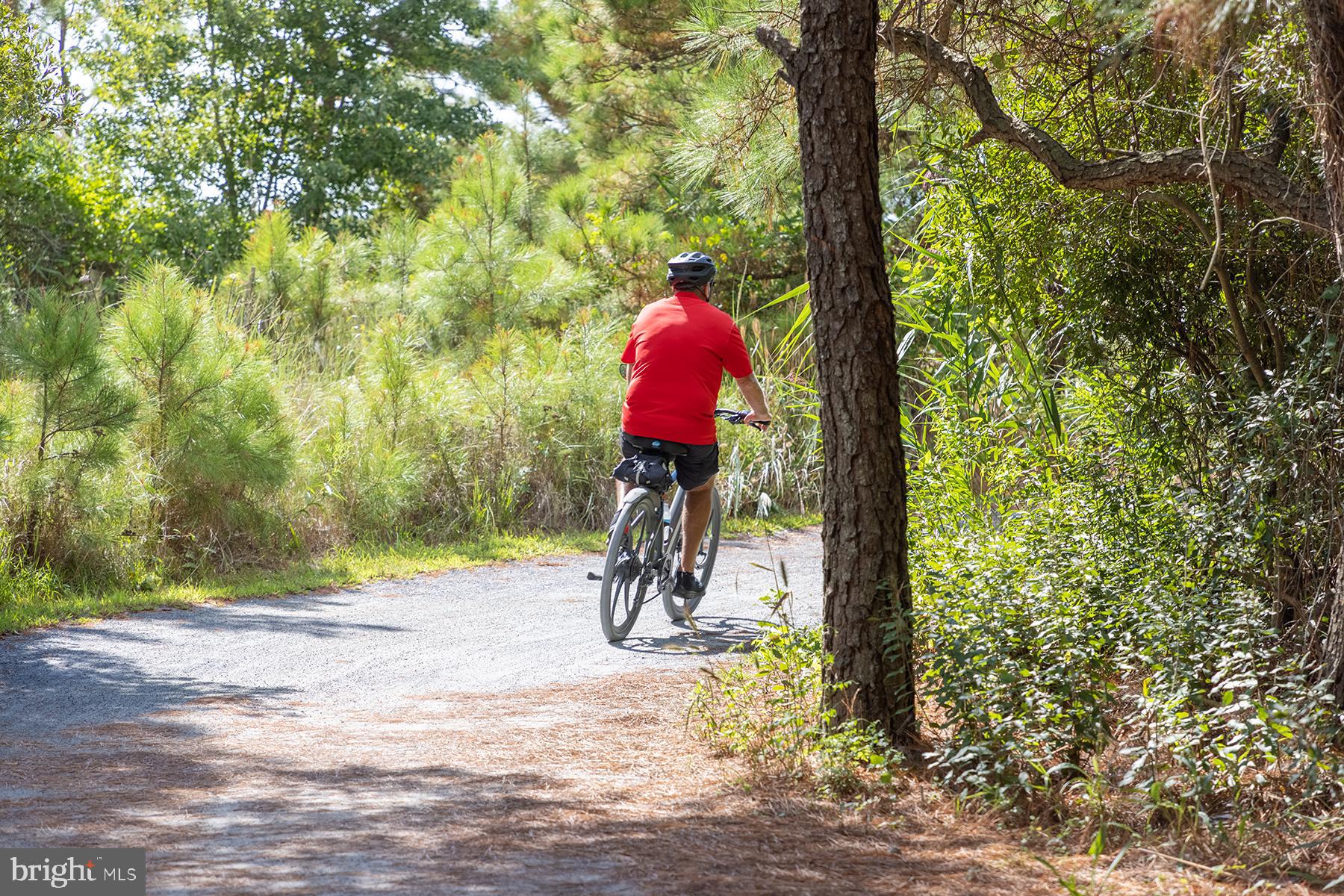 RIDINGS AT REHOBOTH - Residential