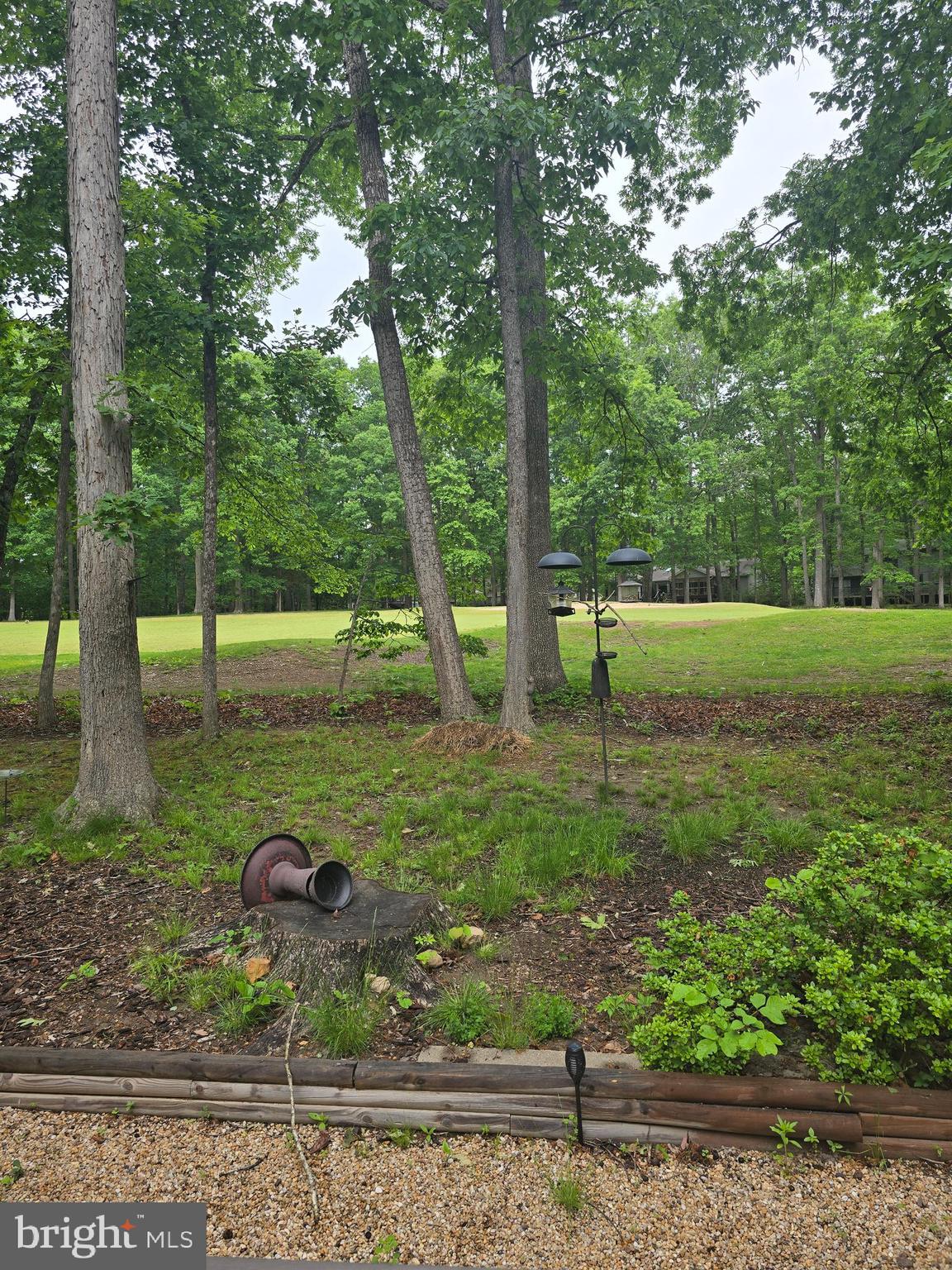 LAKE OF THE WOODS - Residential