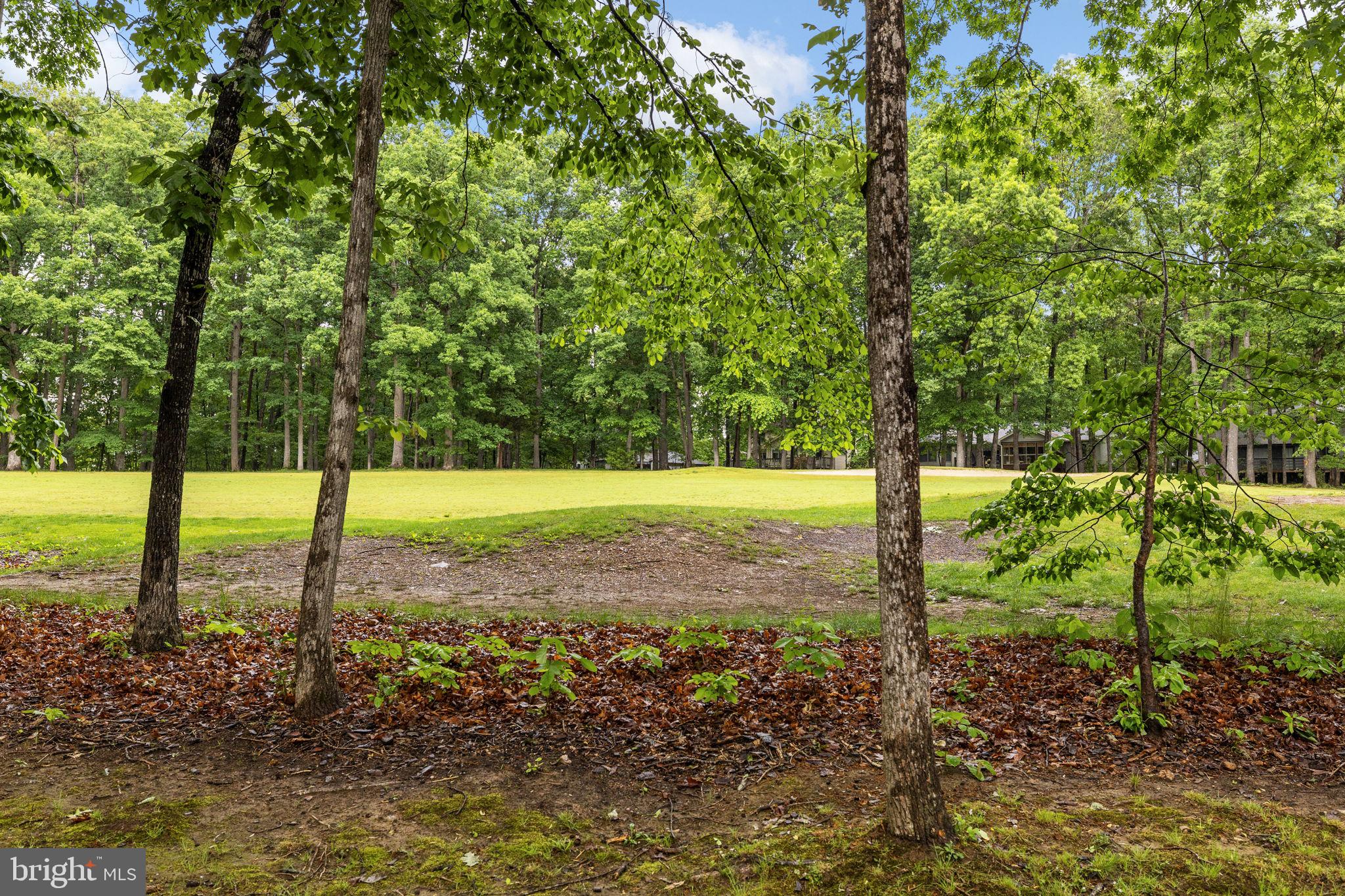 LAKE OF THE WOODS - Residential
