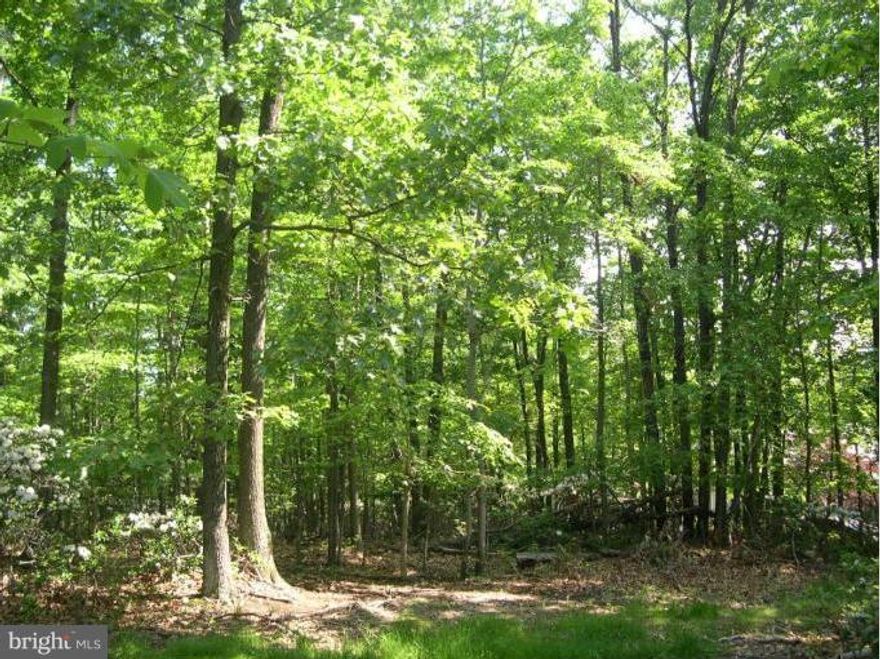 Beautiful wooded home site with view of the mountains. Level home site with underground utilities, central  water and public sewer. Full/golf membership is available with a $5350 initiation fee.