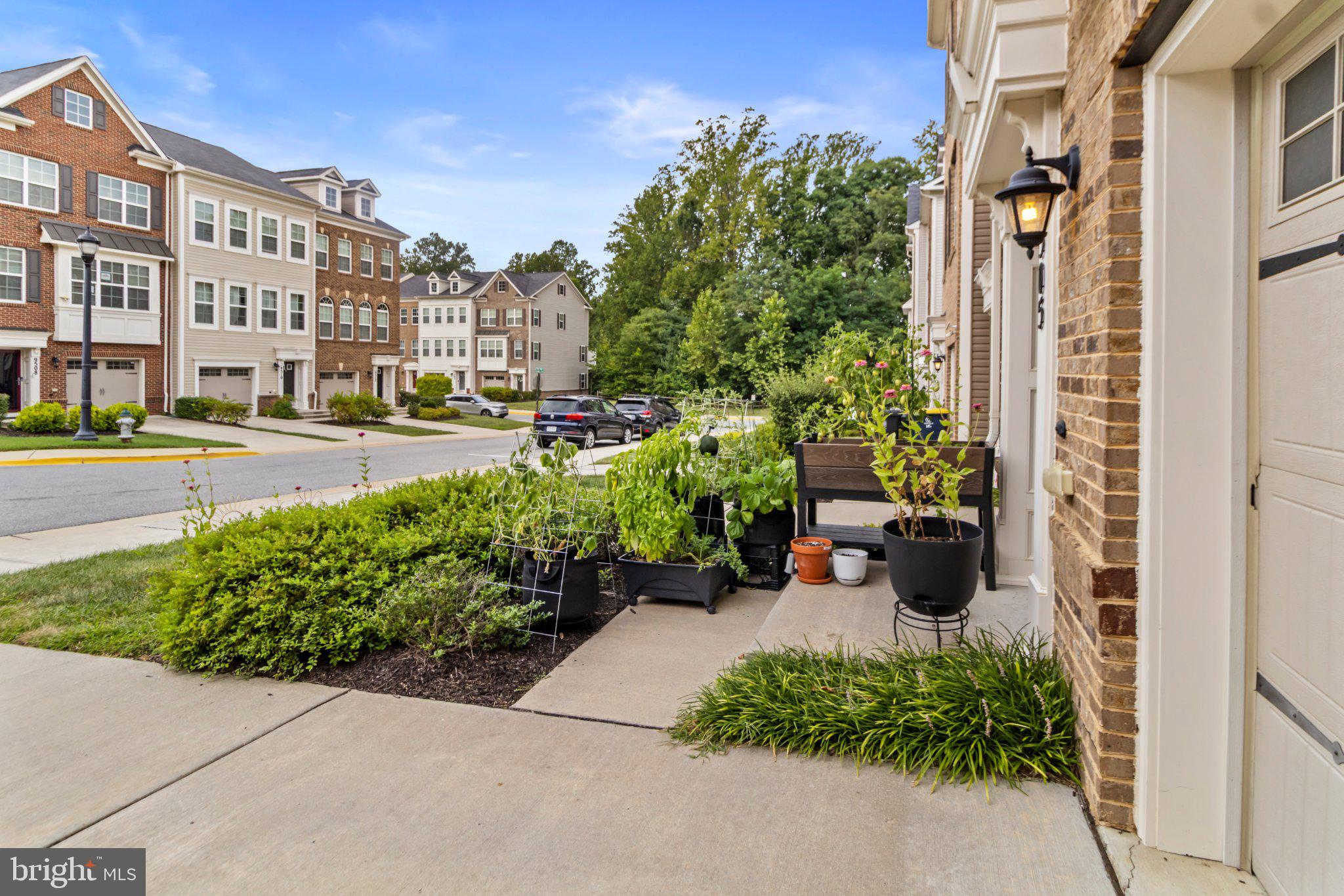 9505 SYCAMORE GRV
