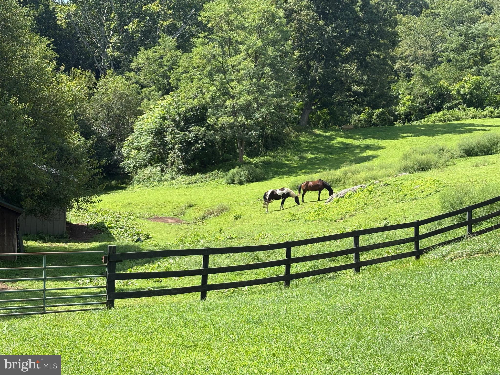1983 MISTY MEADOWS LANE
