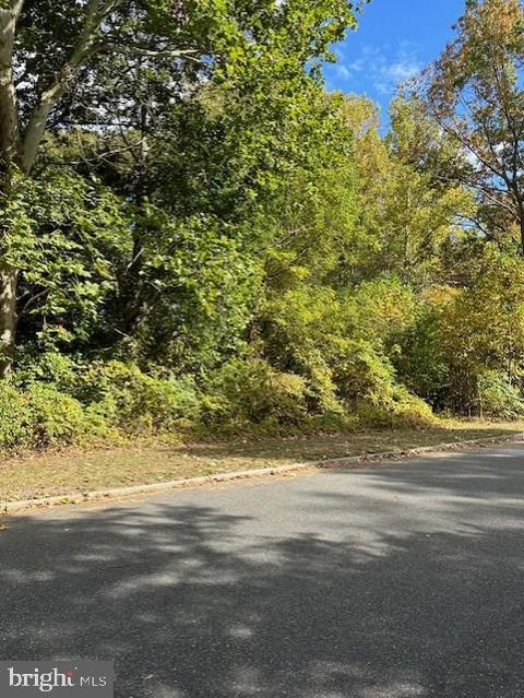 Vacant Land For Sale - 20 Geisinger Avenue<br/> BRIDGETON, NJ 08302